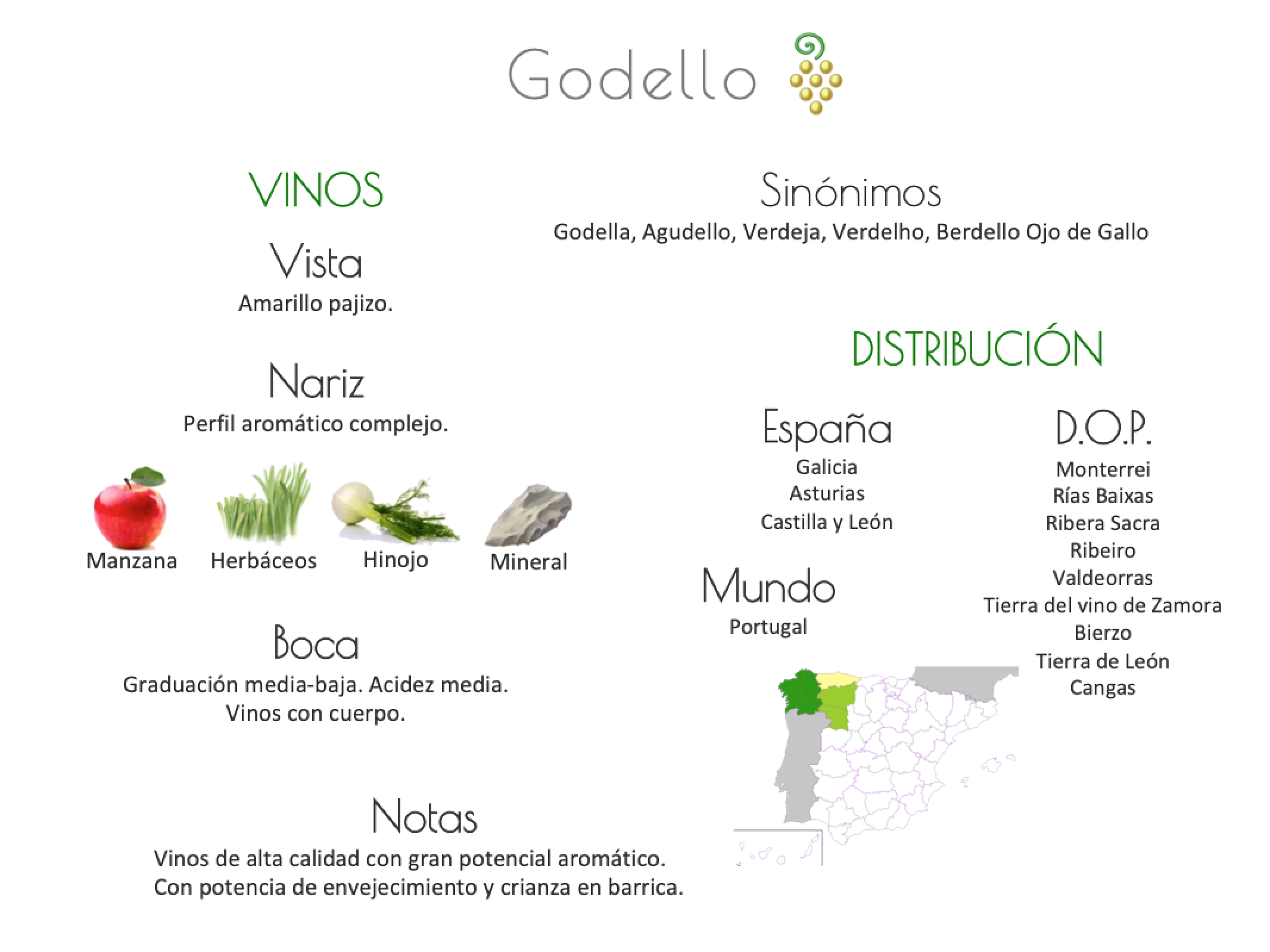 Sinónimo de Airén
