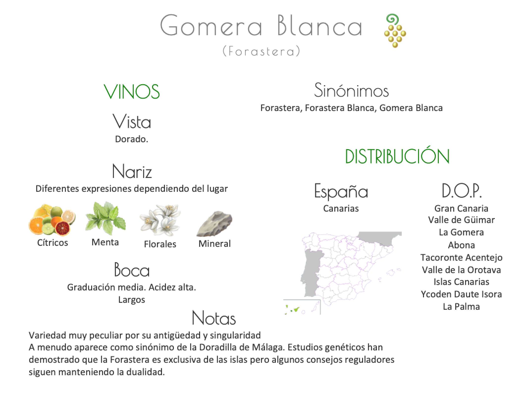 Sinónimo de Airén