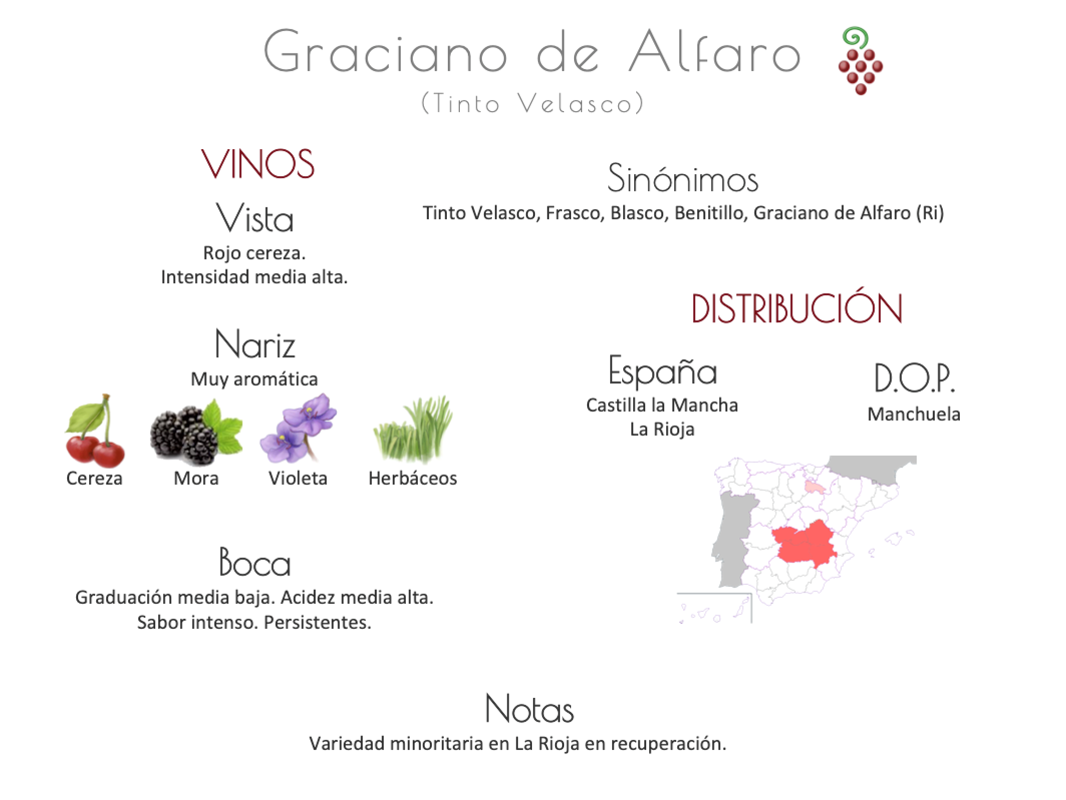 Sinónimo de Airén