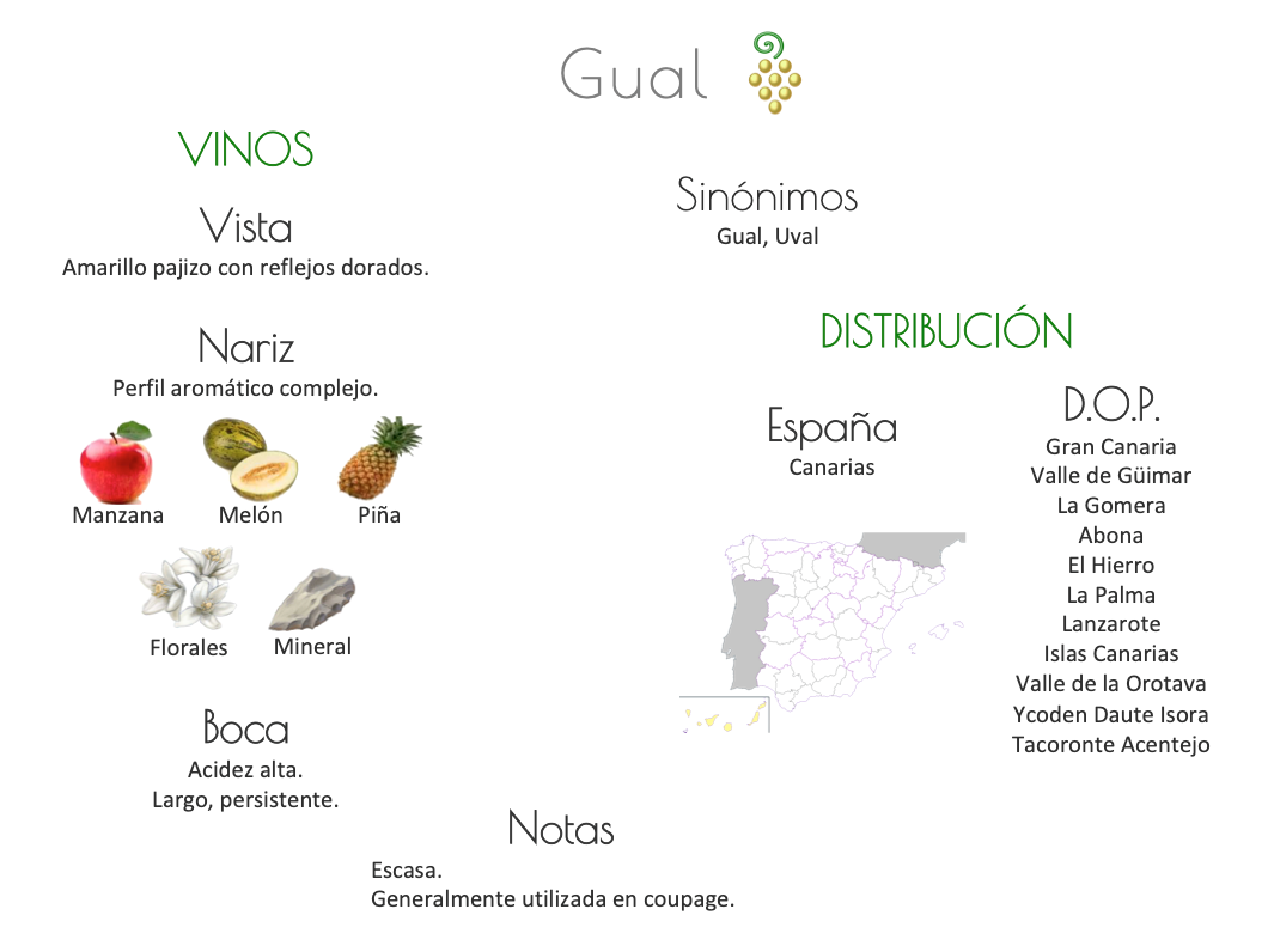 Sinónimo de Airén