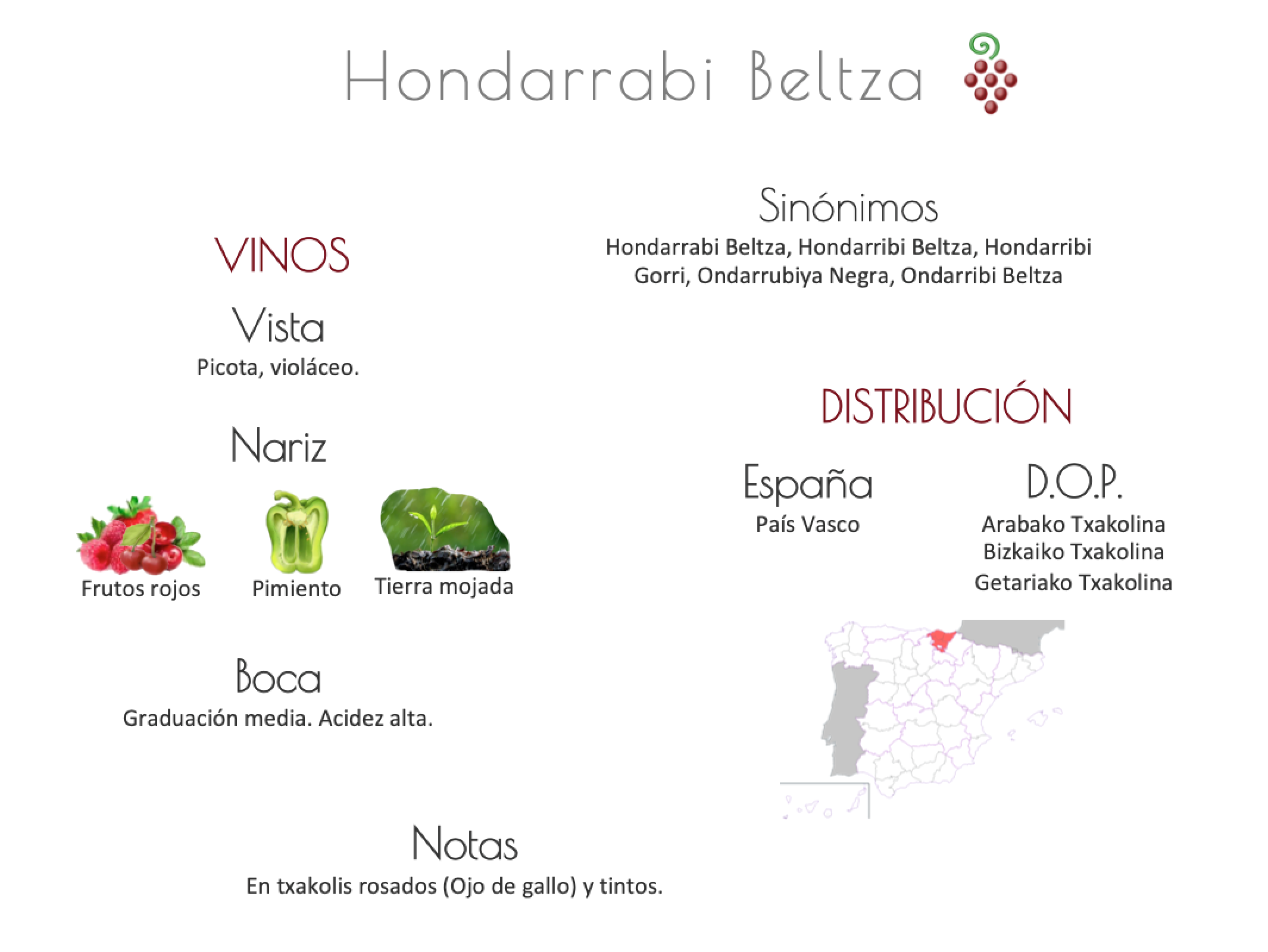 Sinónimo de Airén