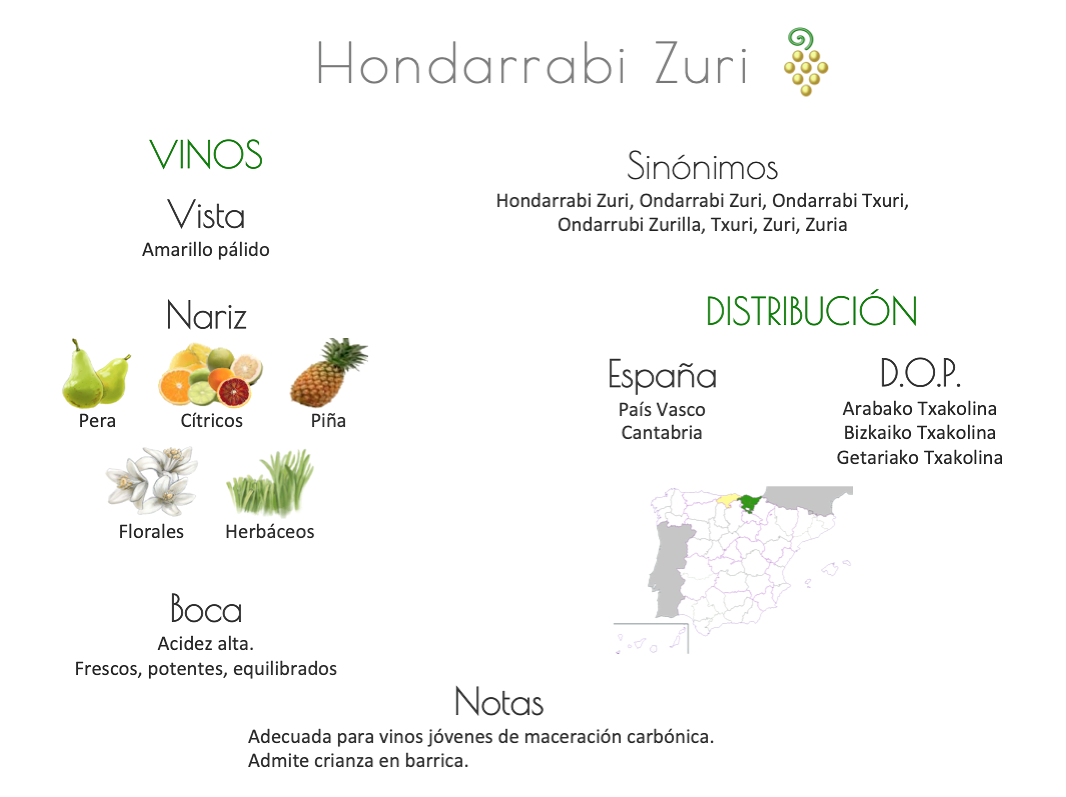 Sinónimo de Airén