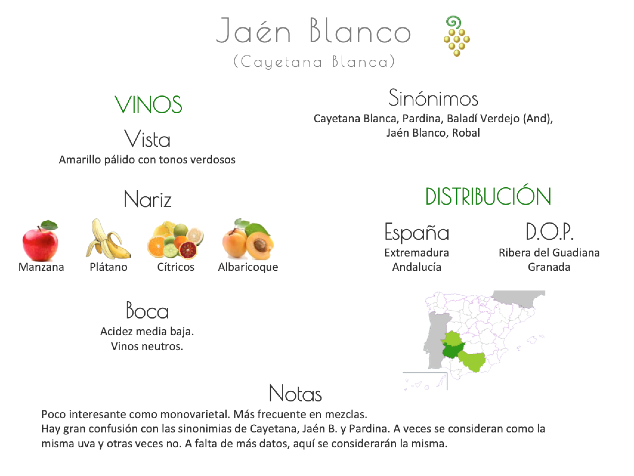 Sinónimo de Airén