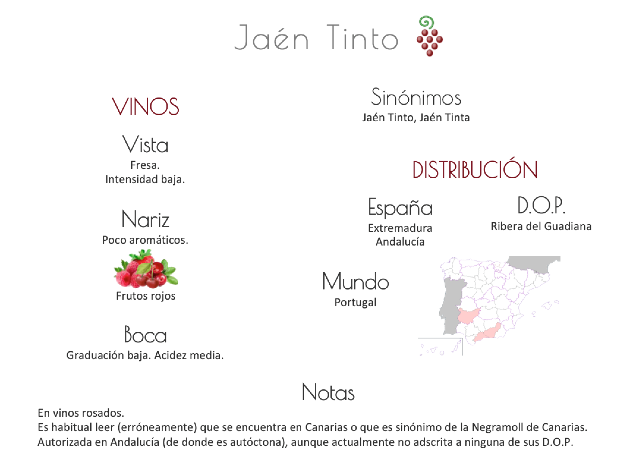 Sinónimo de Airén