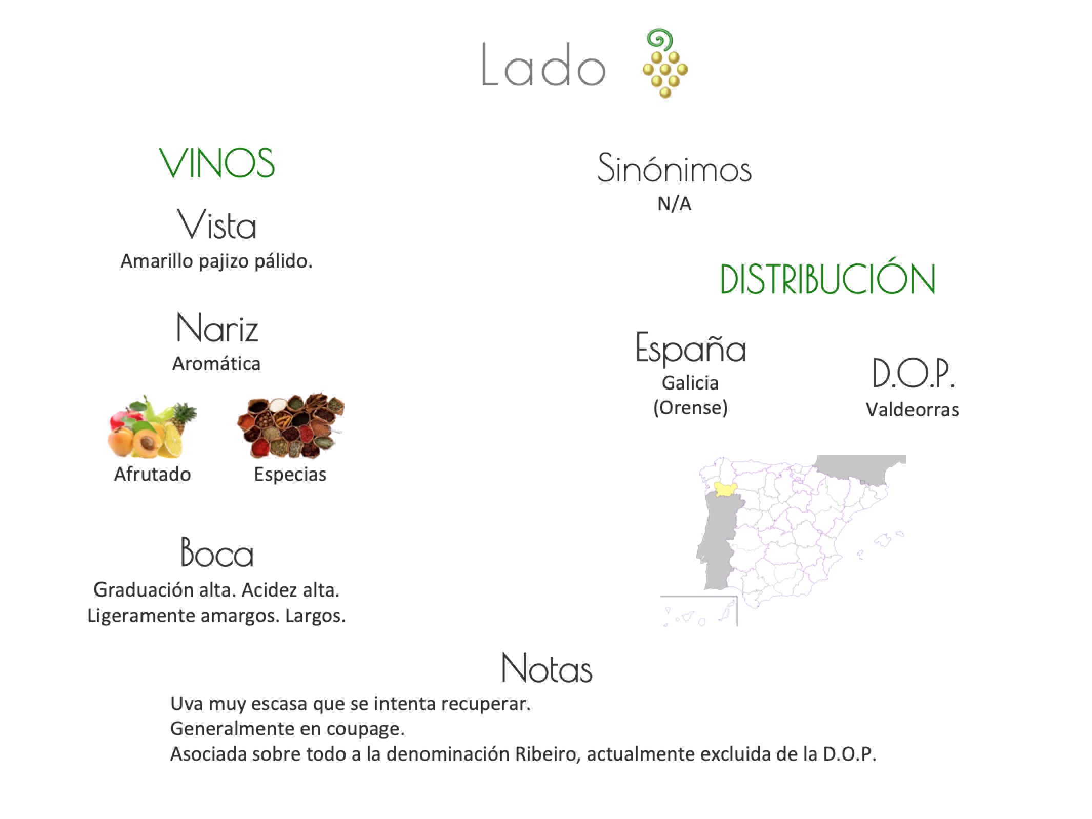 Sinónimo de Airén