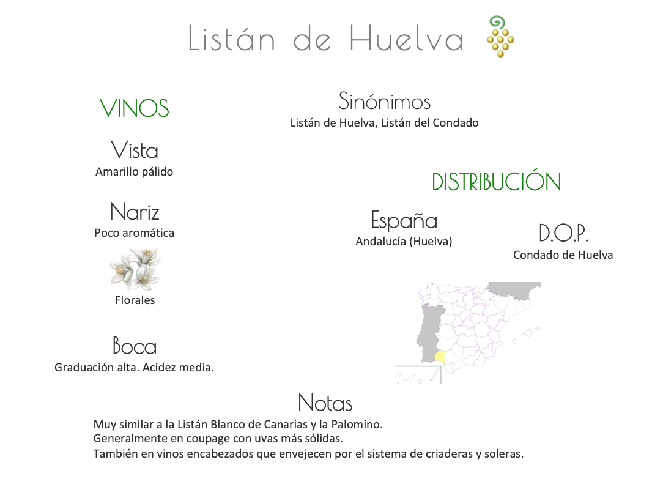 Sinónimo de Airén
