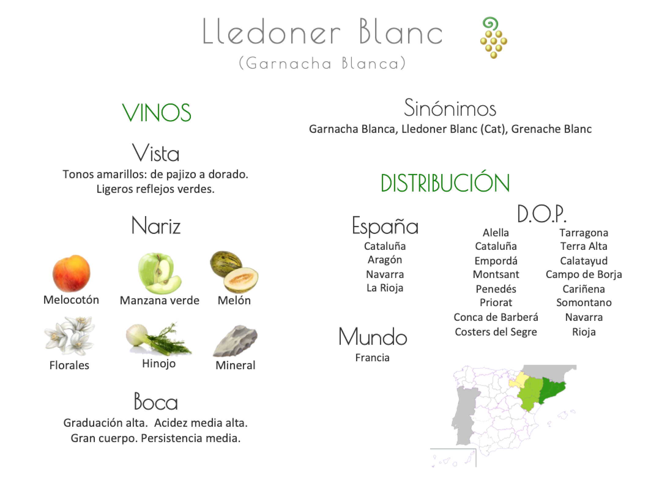 Sinónimo de Airén