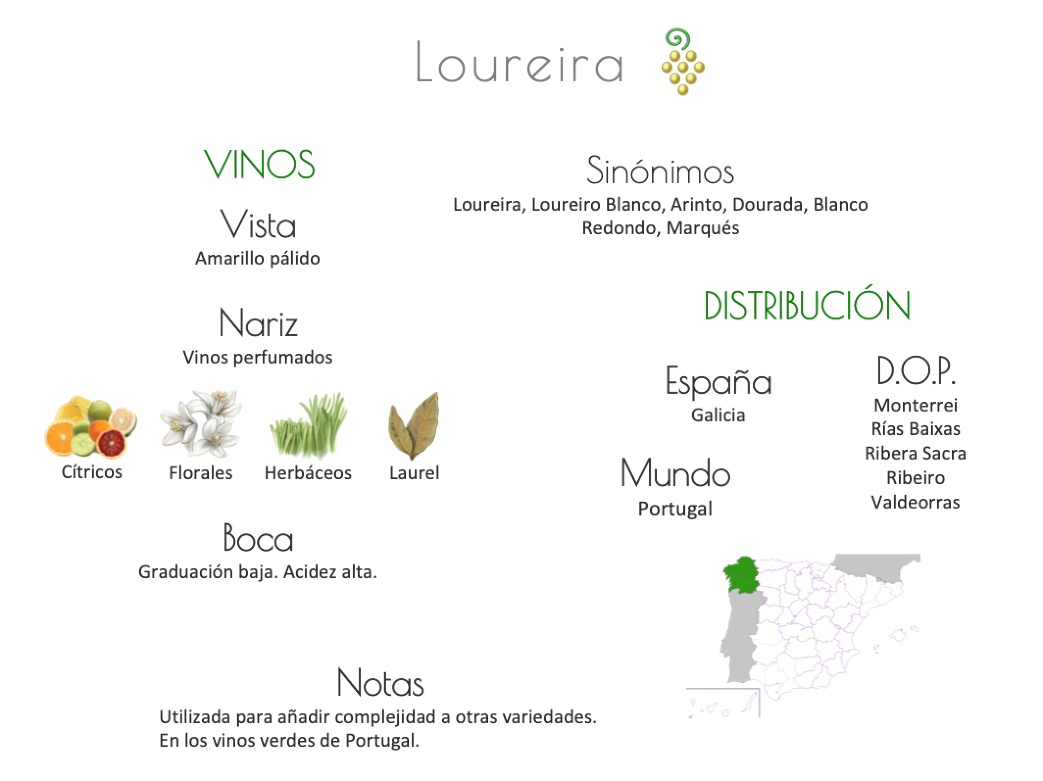 Sinónimo de Airén