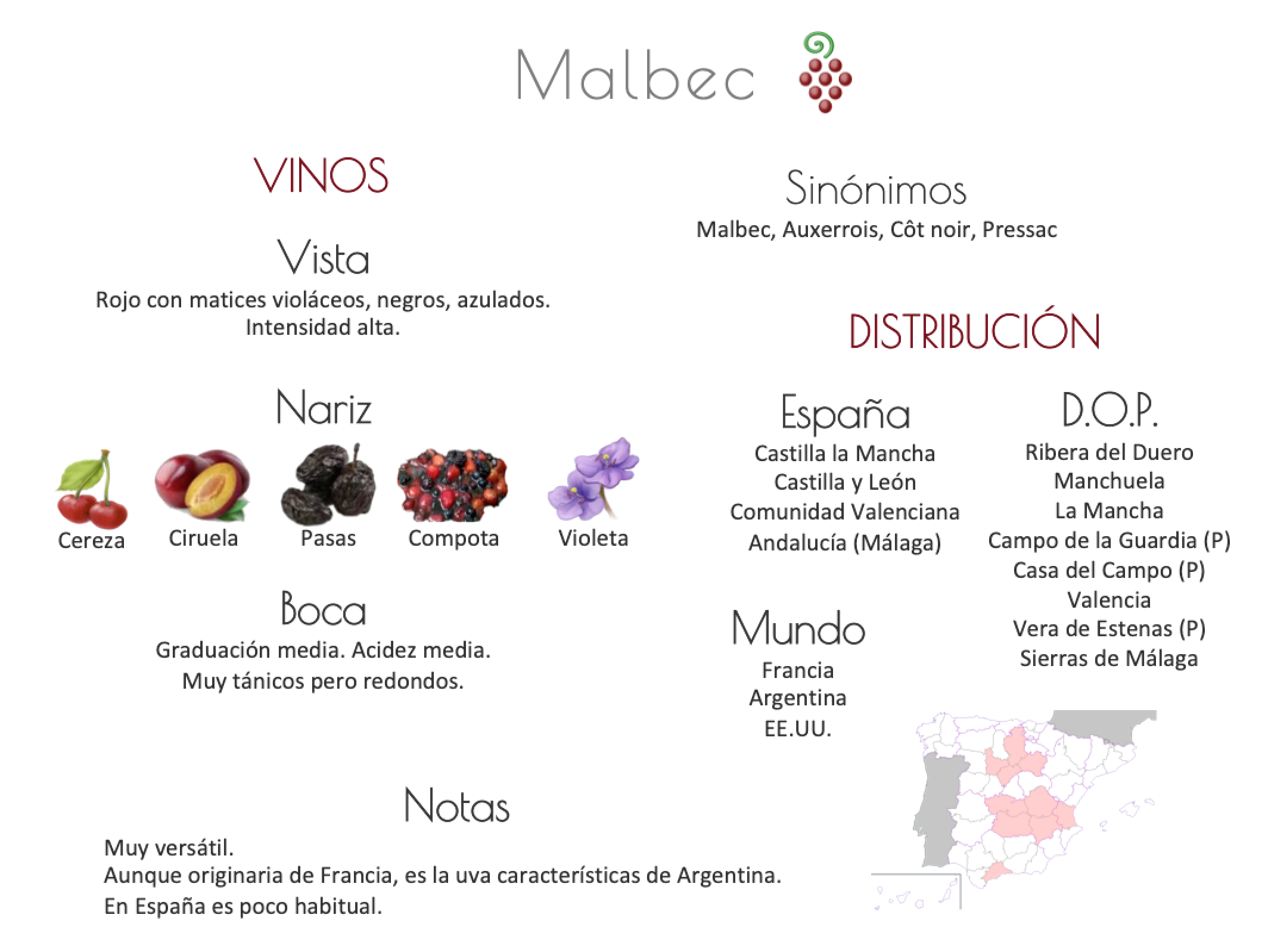 Sinónimo de Airén