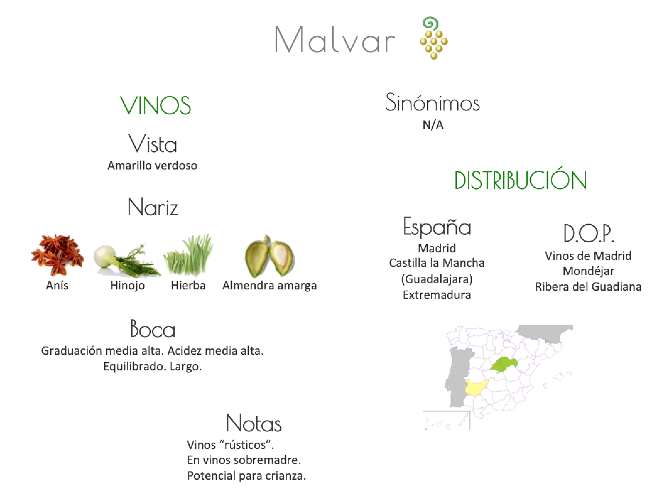 Sinónimo de Airén