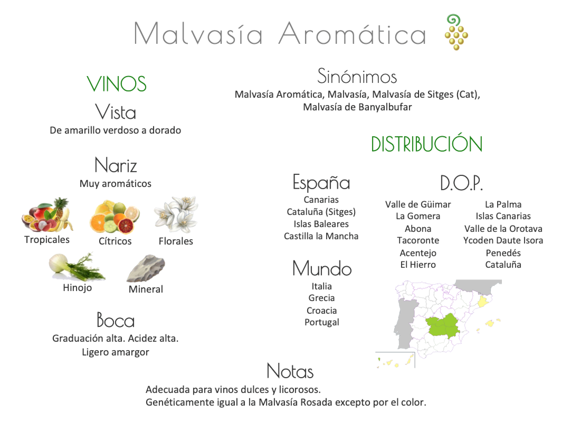 Sinónimo de Airén