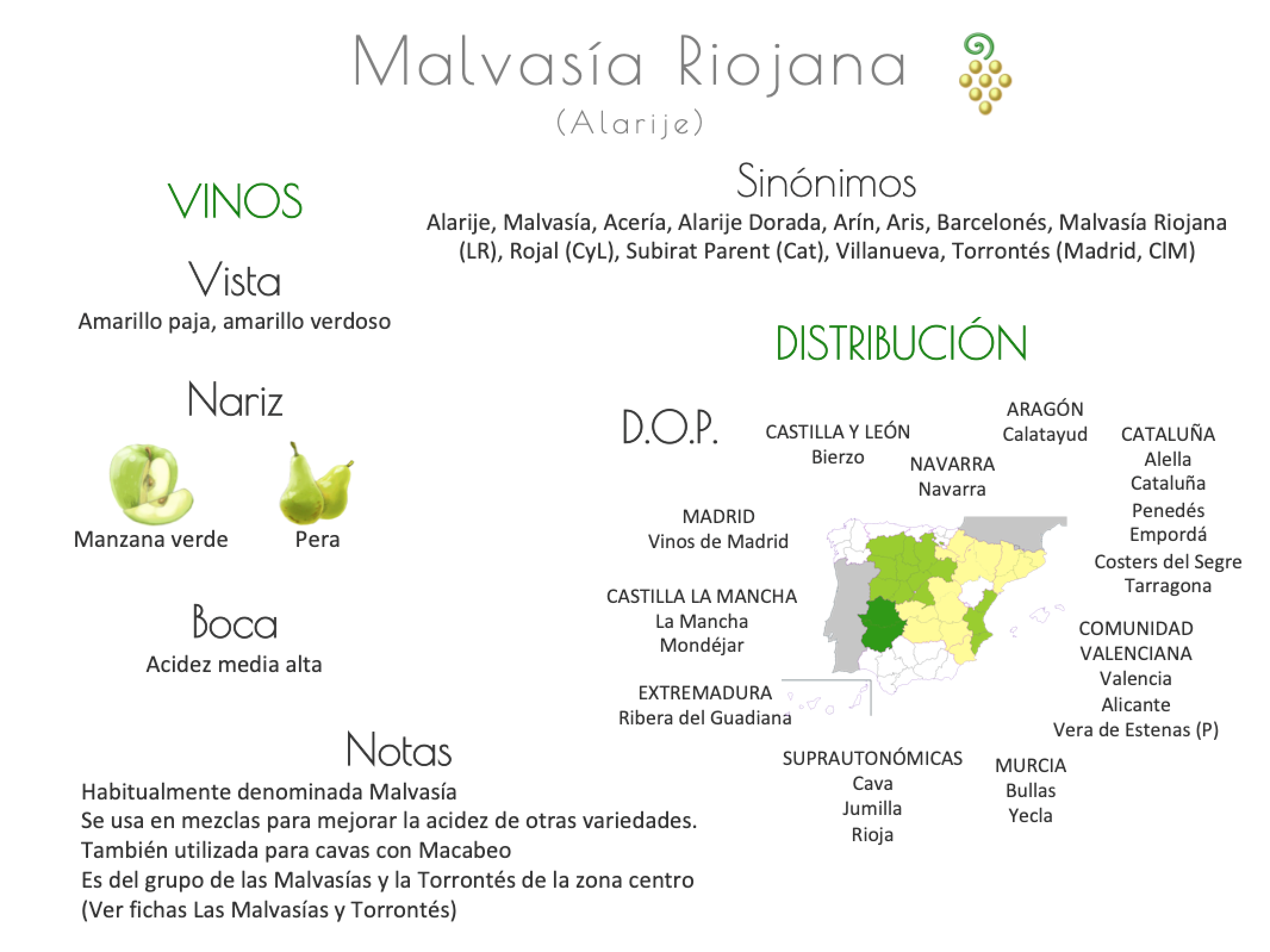 Sinónimo de Airén