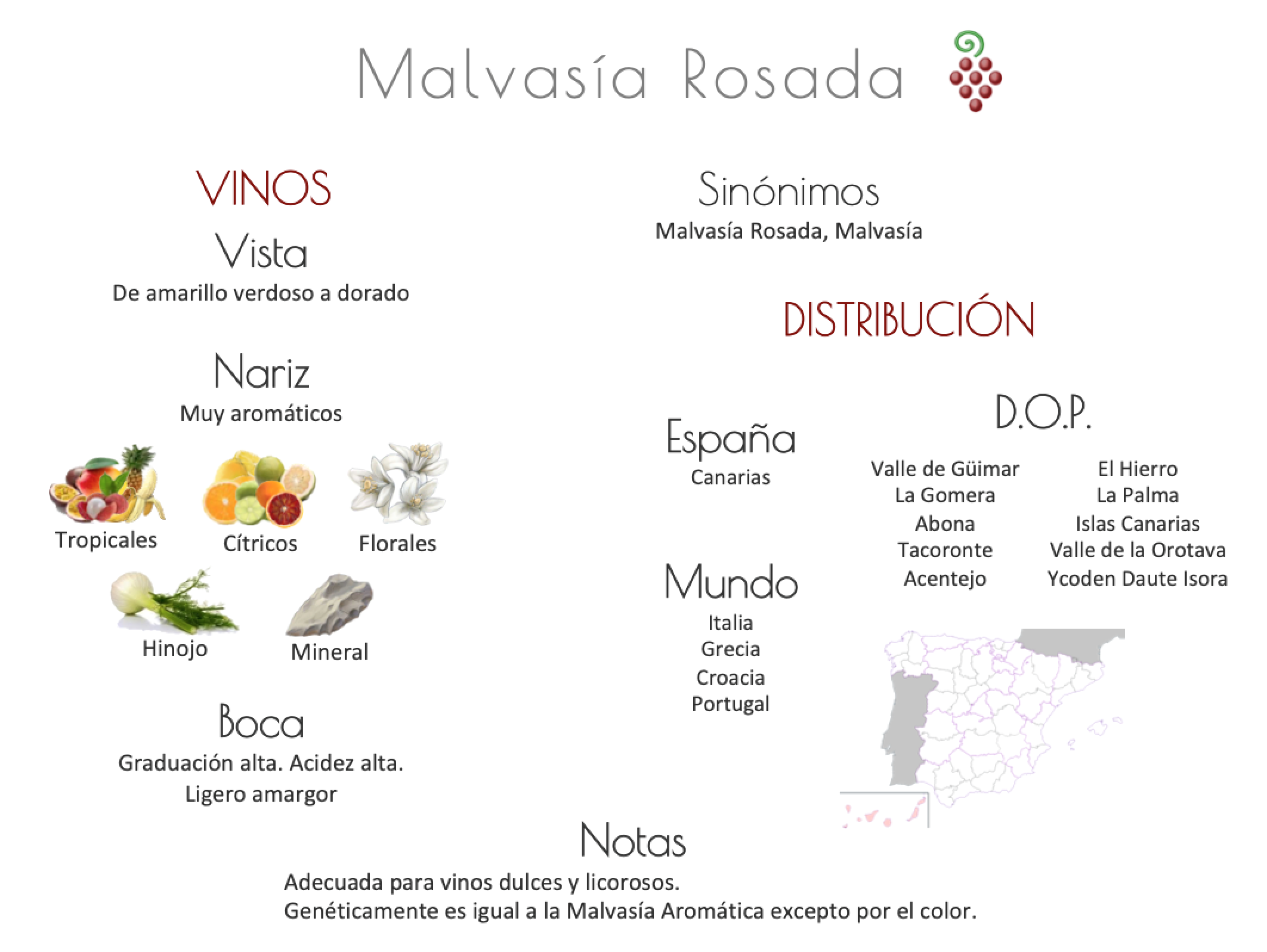 Sinónimo de Airén