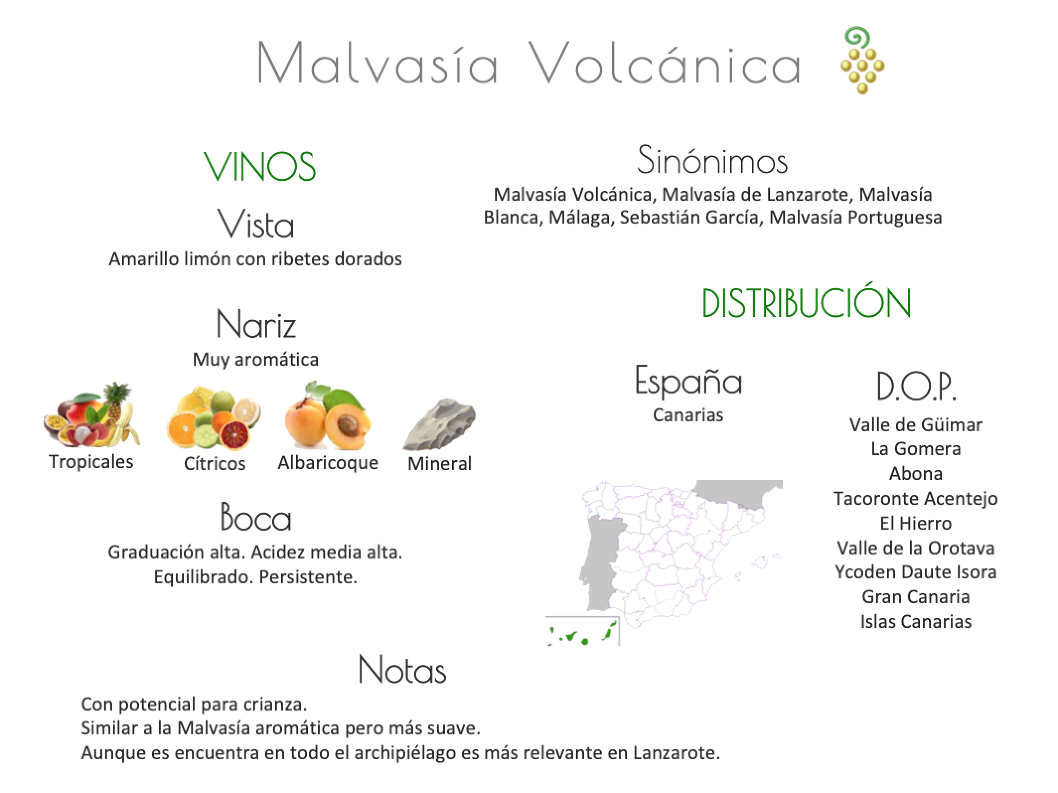 Sinónimo de Airén