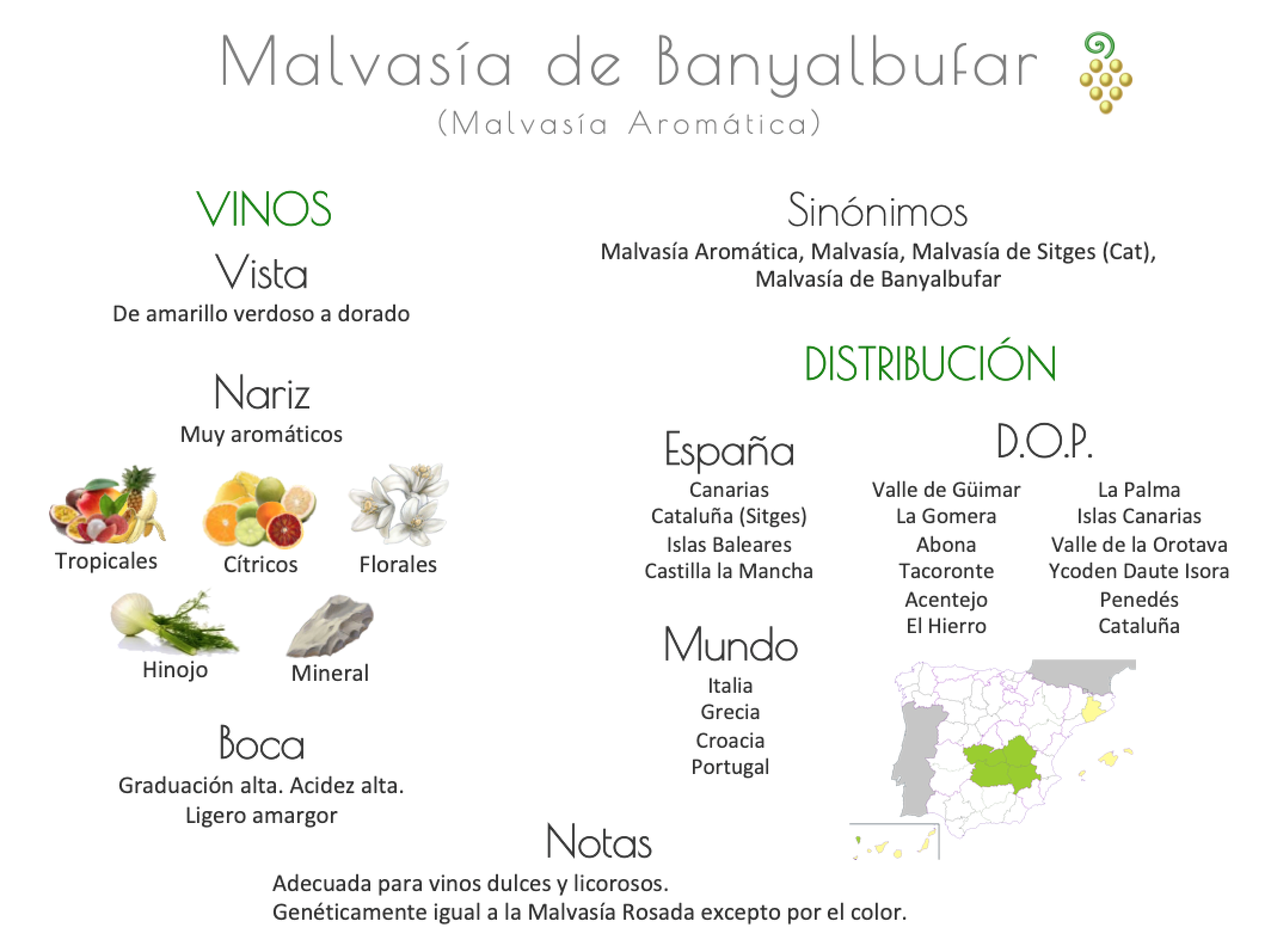 Sinónimo de Airén