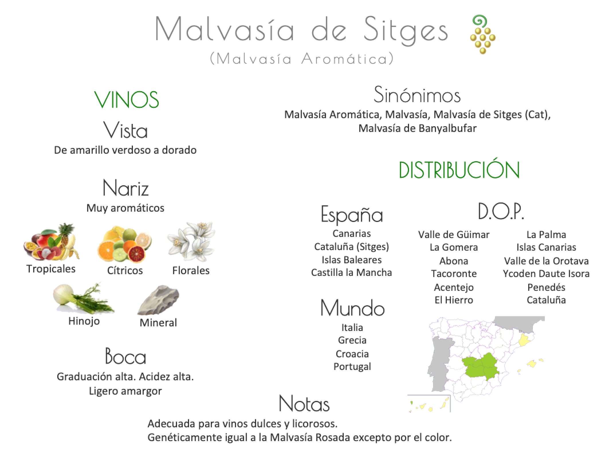 Sinónimo de Airén
