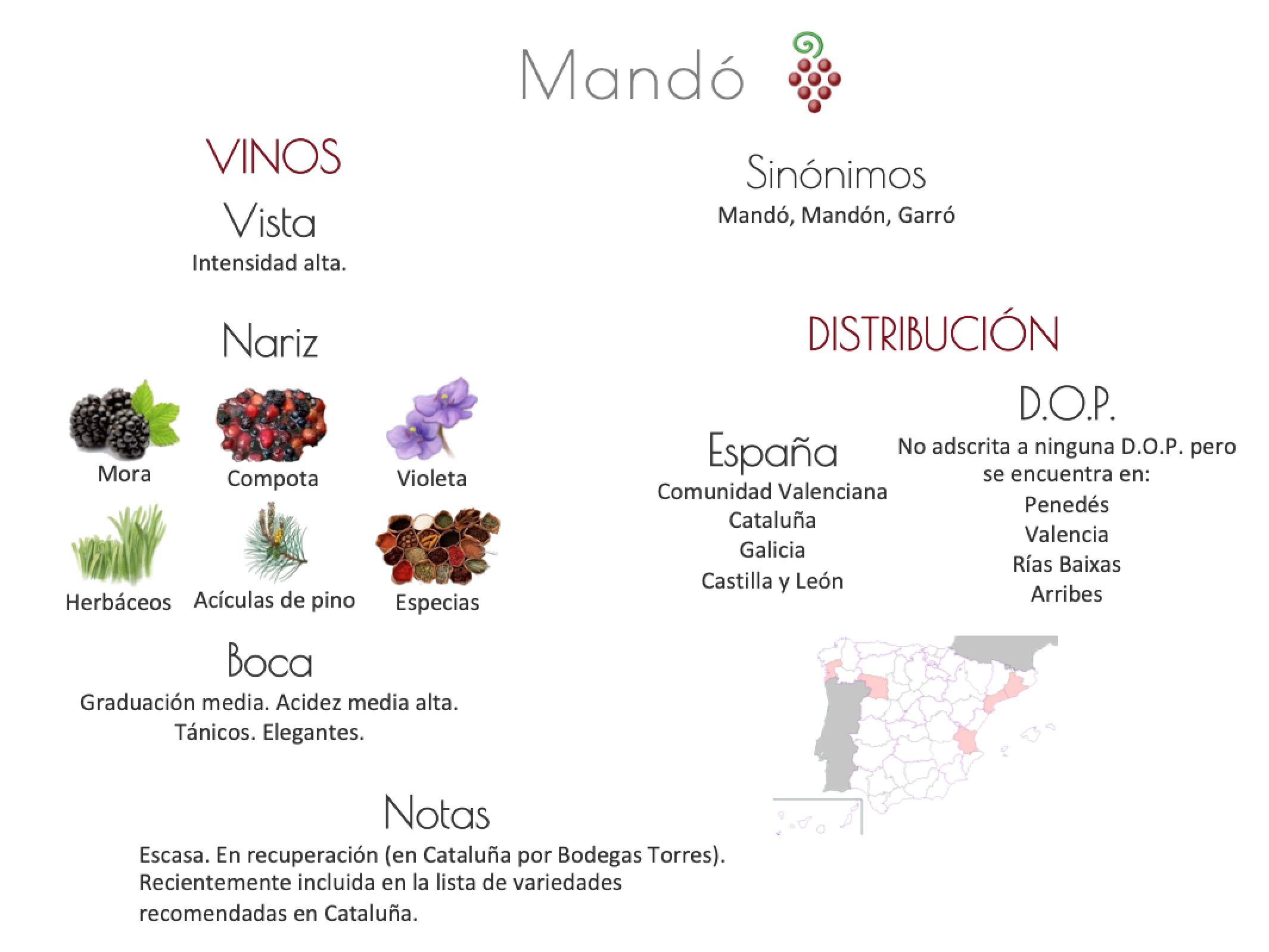 Sinónimo de Airén