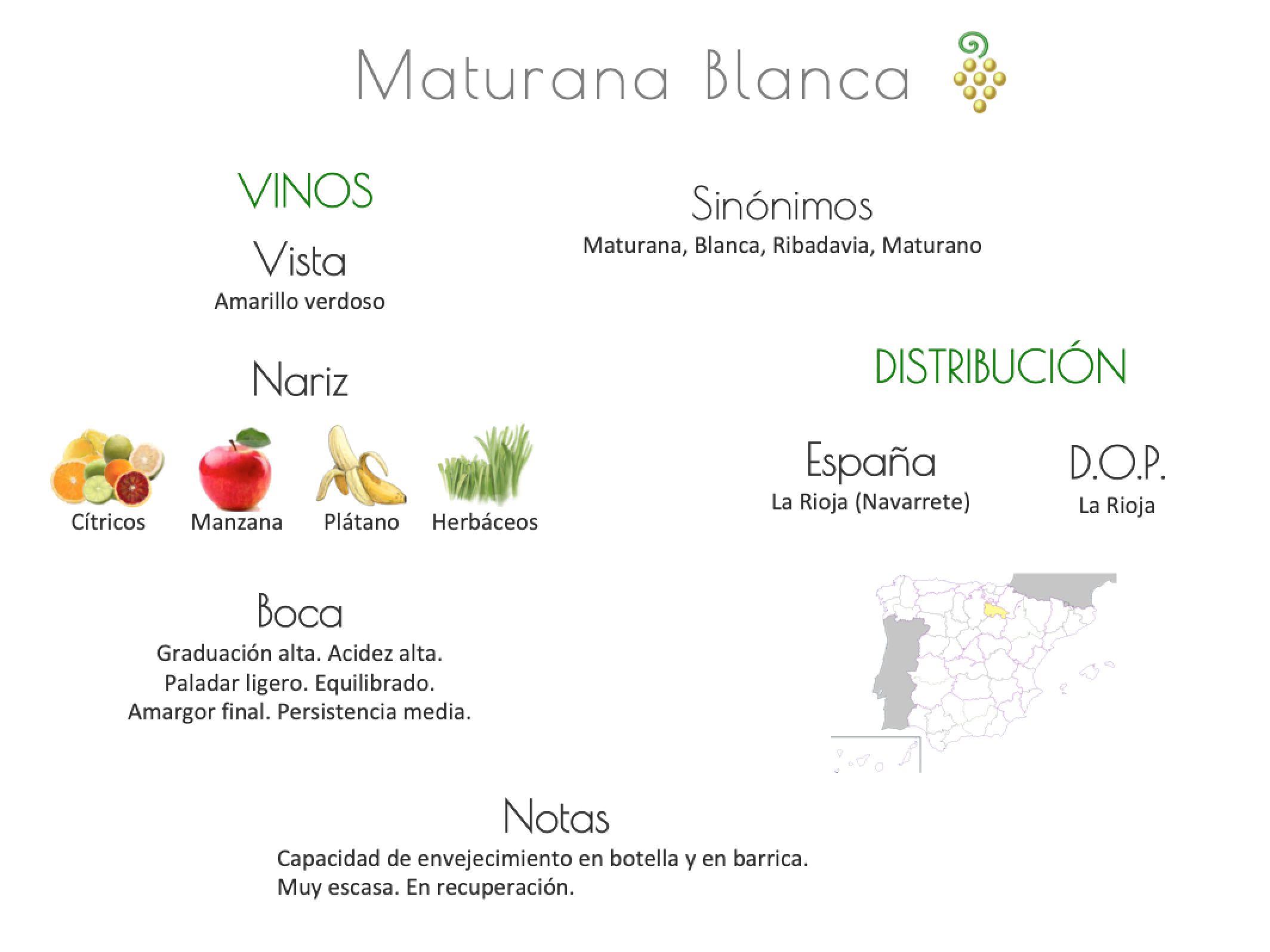 Sinónimo de Airén