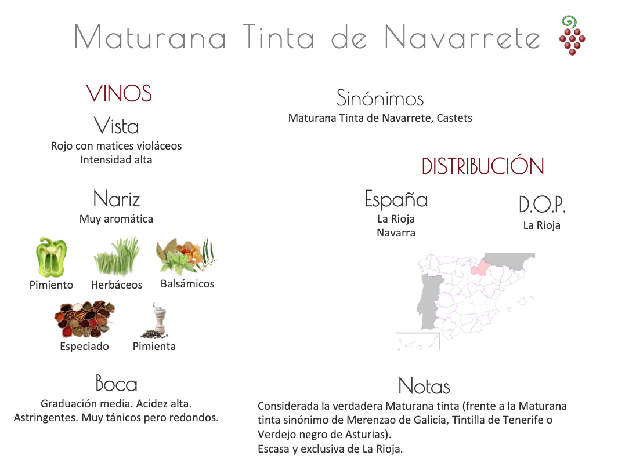Sinónimo de Airén