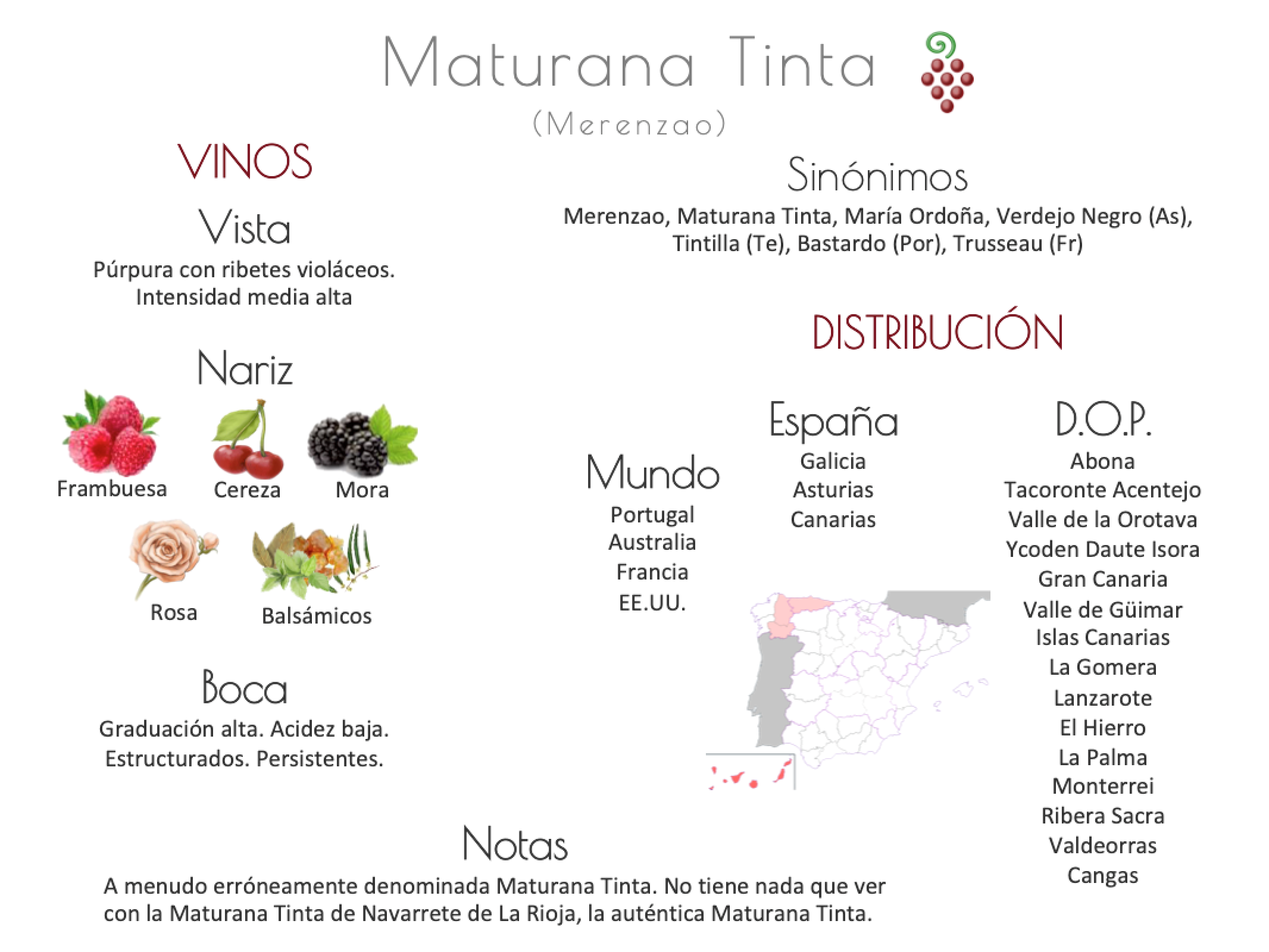 Sinónimo de Airén