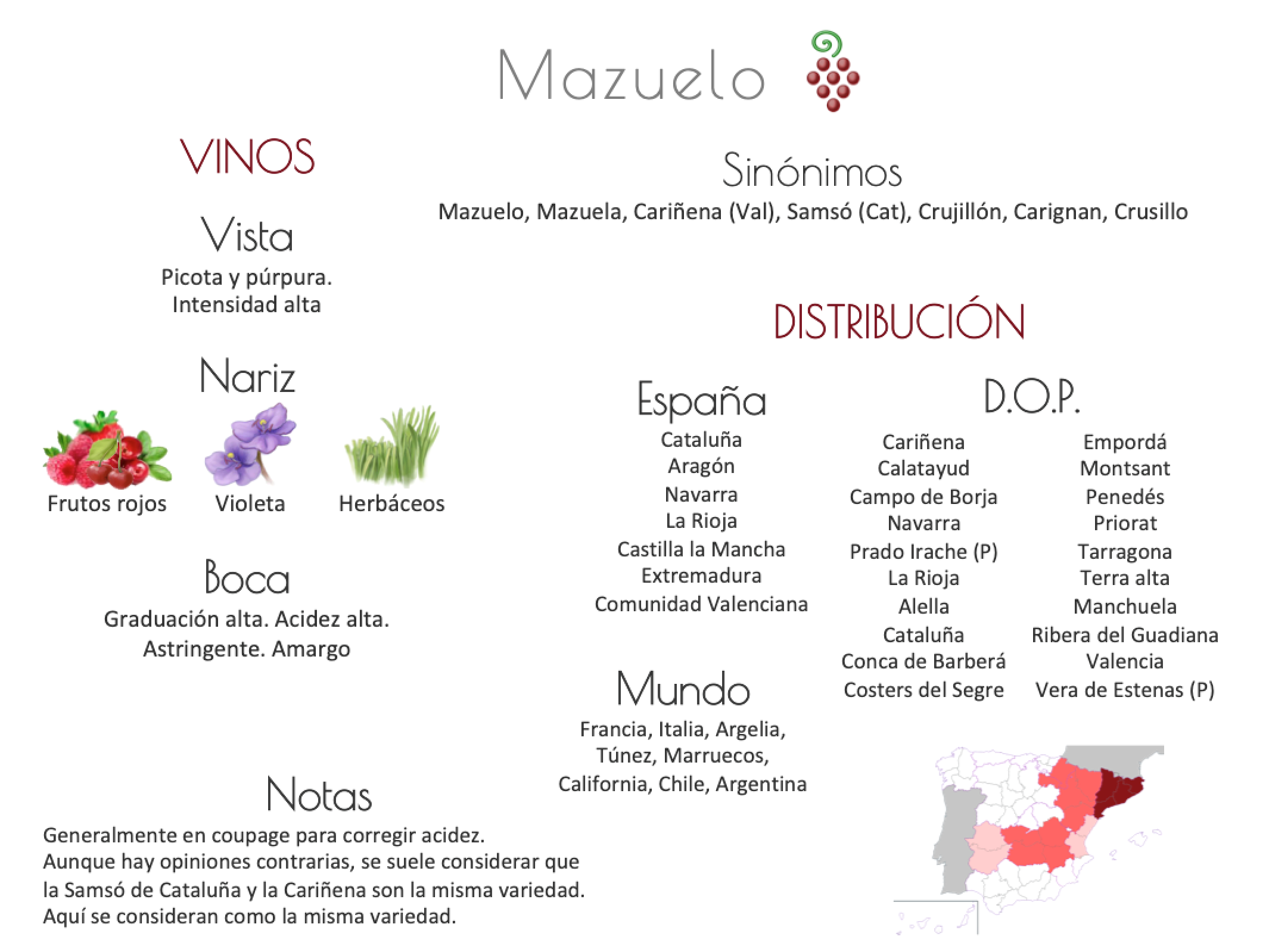 Sinónimo de Airén