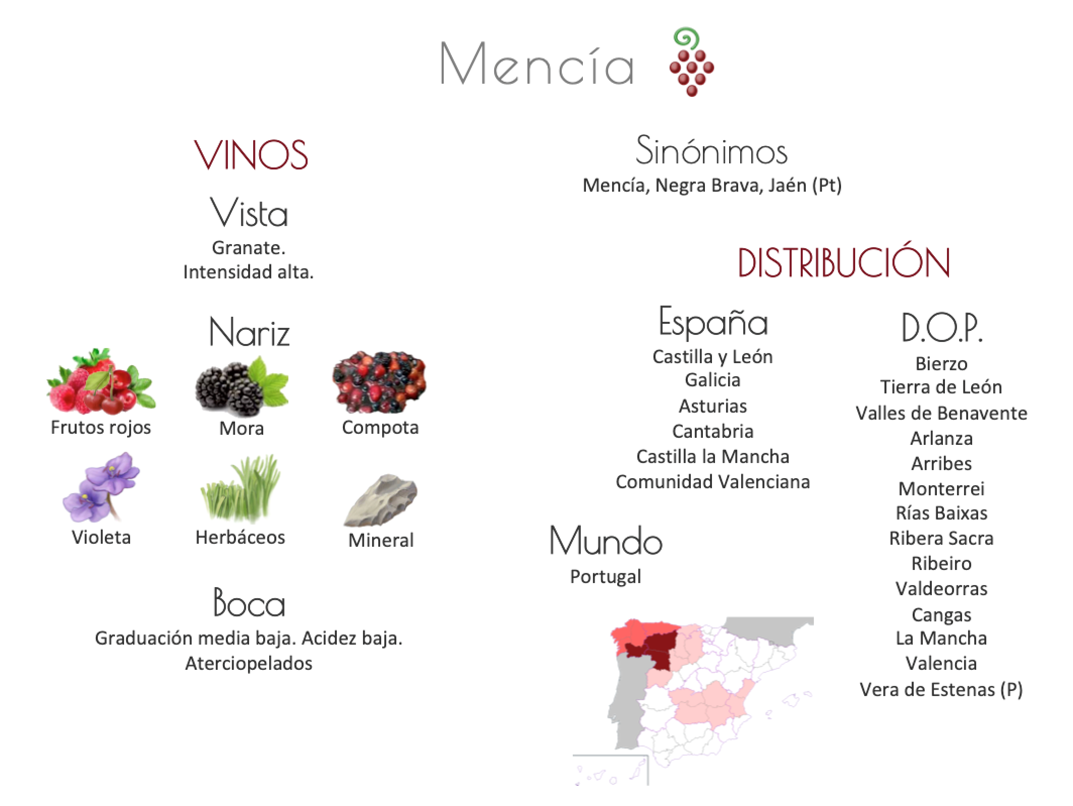 Sinónimo de Airén
