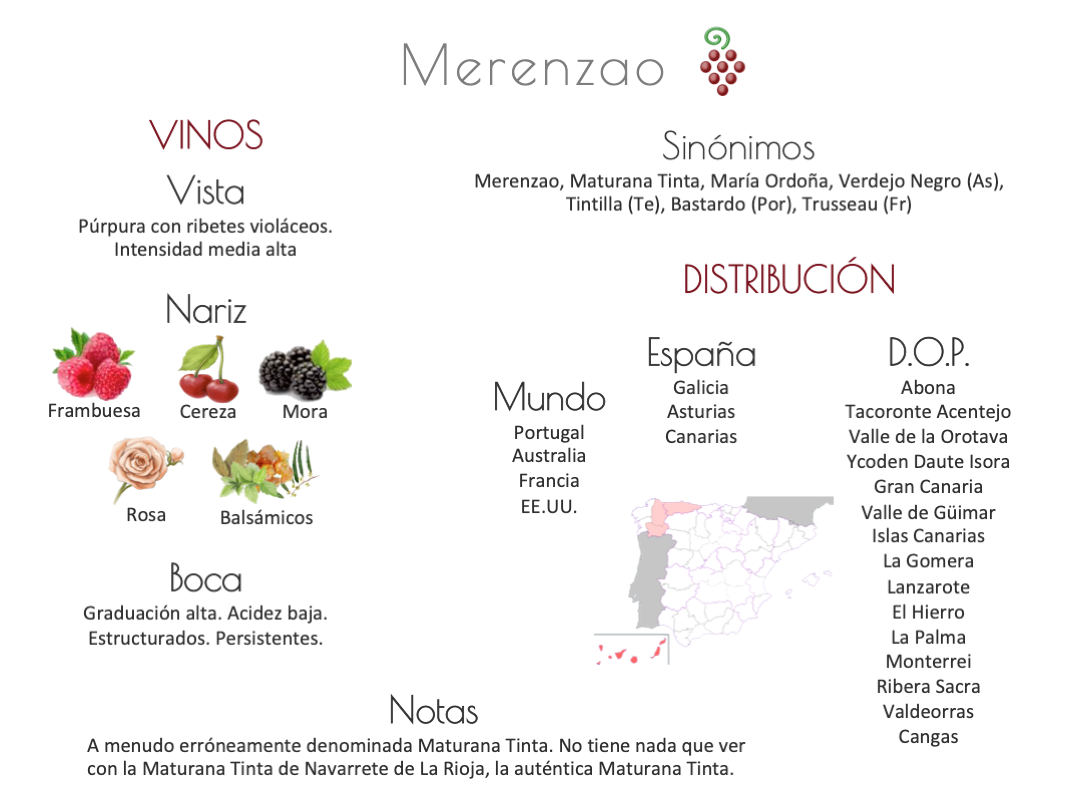Sinónimo de Airén