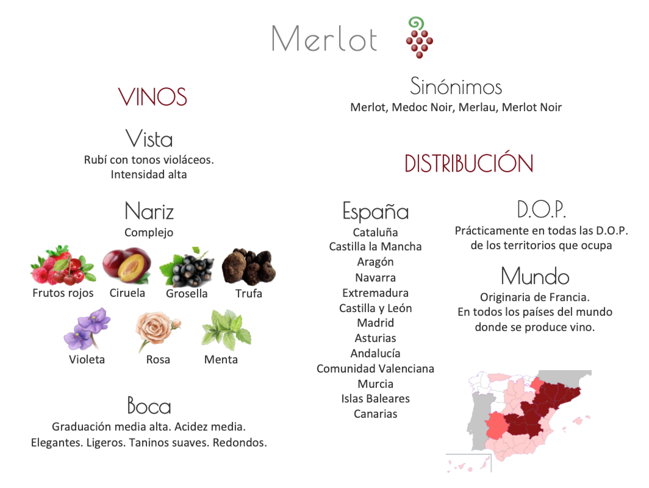 Sinónimo de Airén
