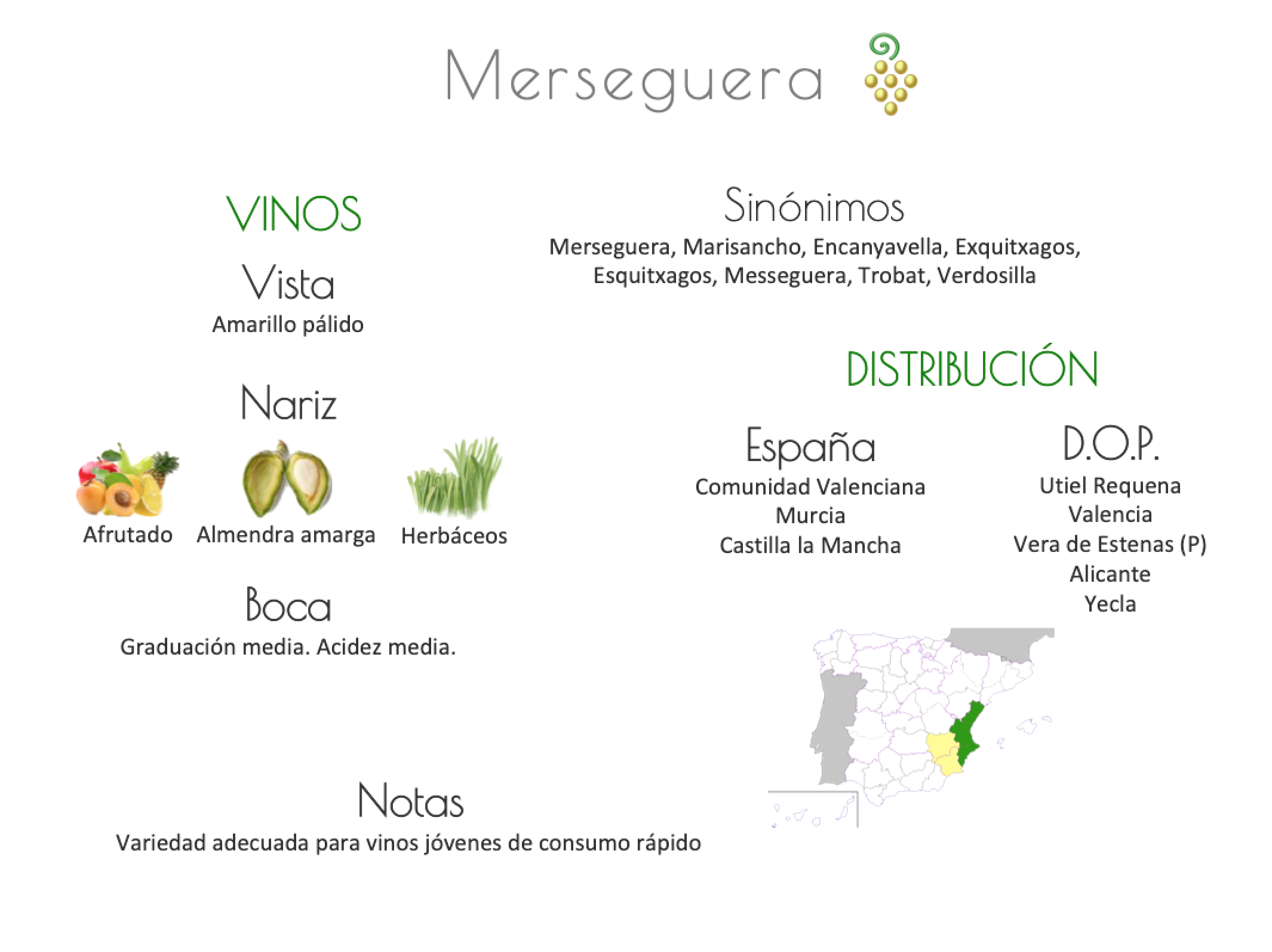 Sinónimo de Airén