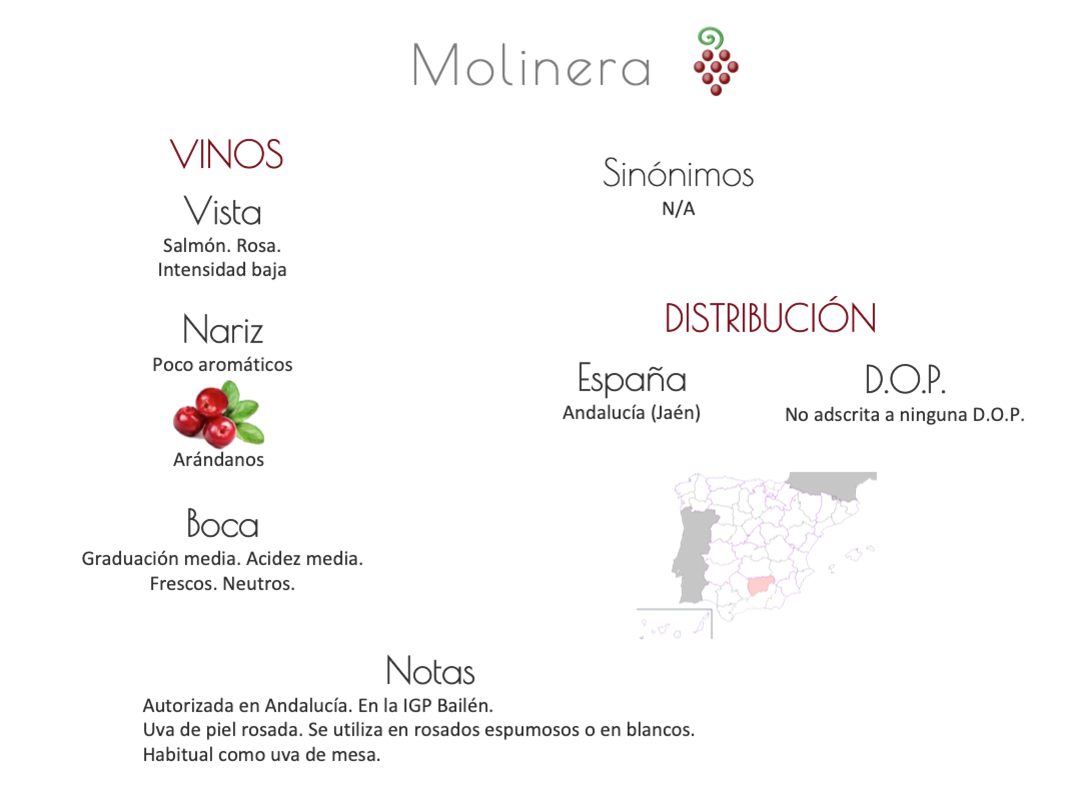 Sinónimo de Airén