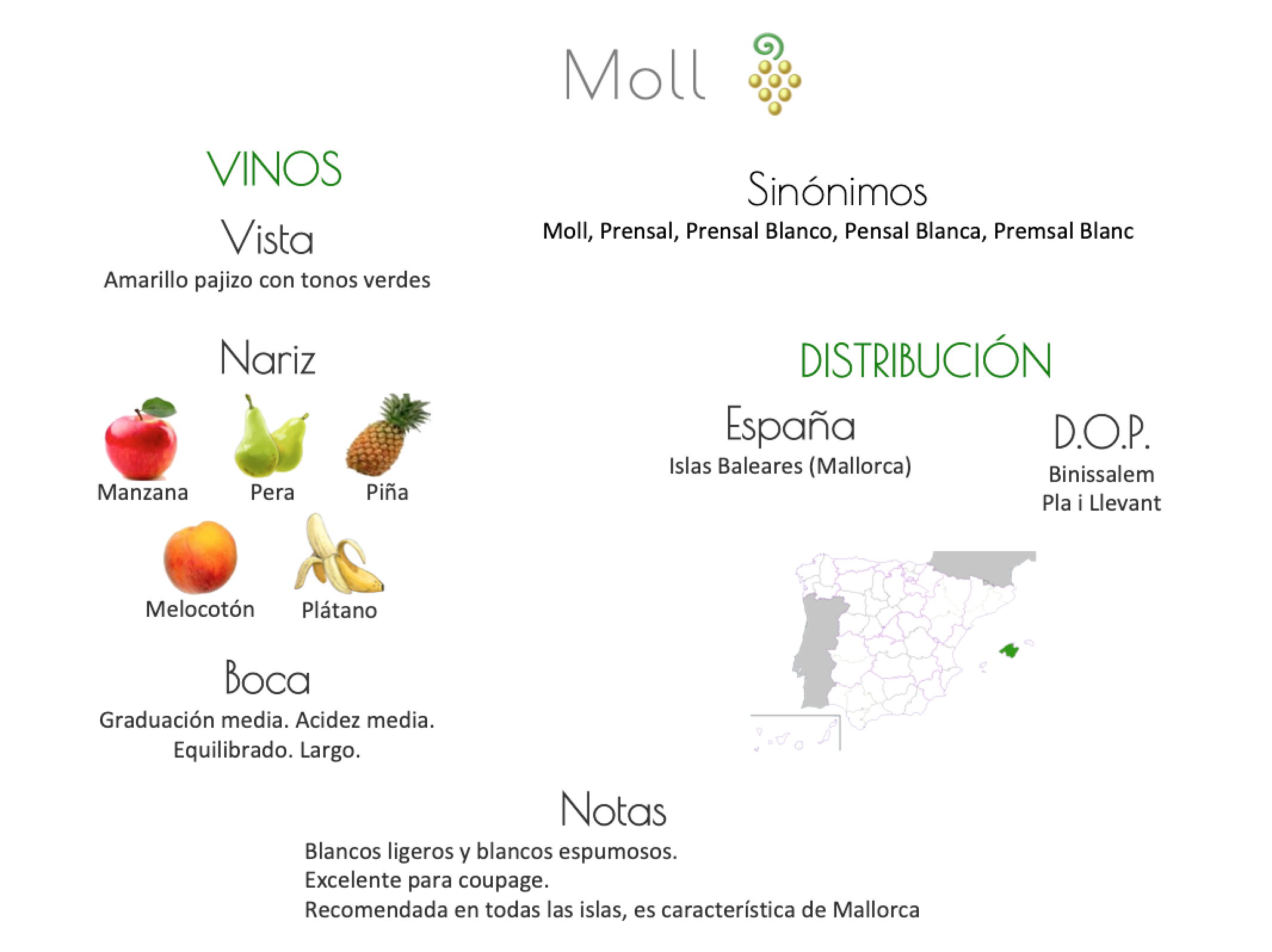 Sinónimo de Airén