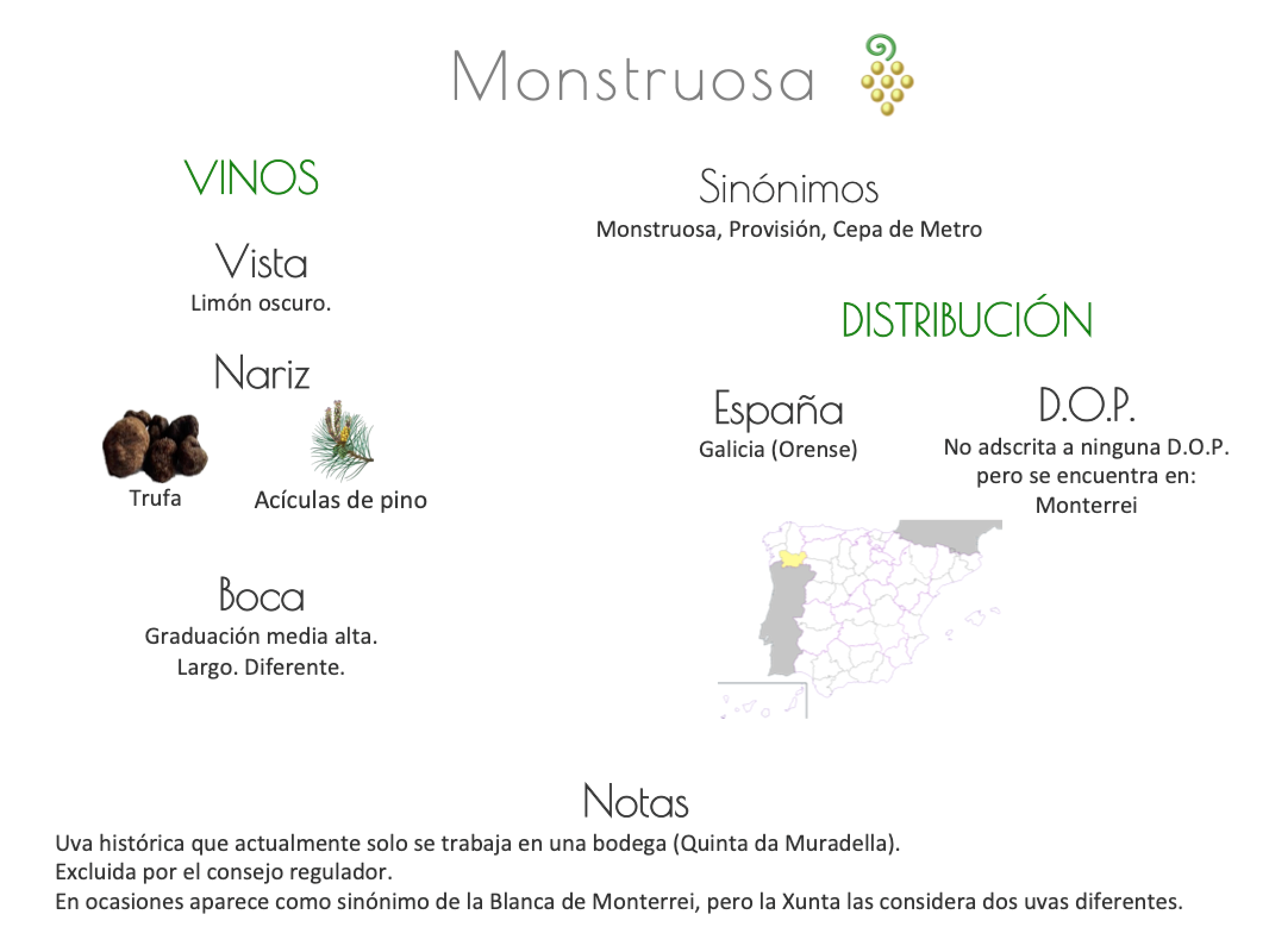 Sinónimo de Airén