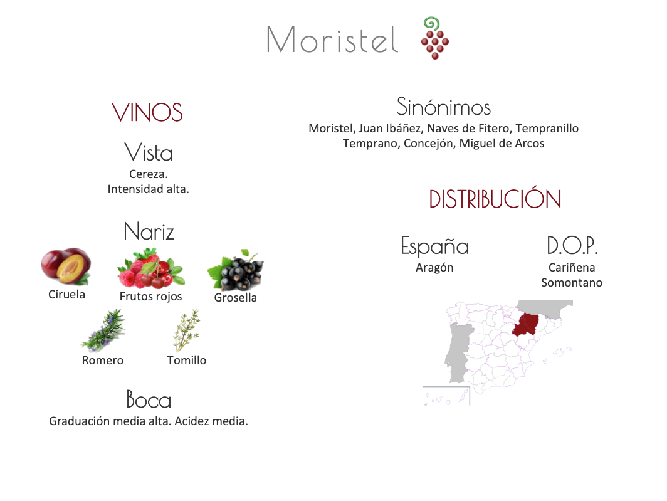 Sinónimo de Airén