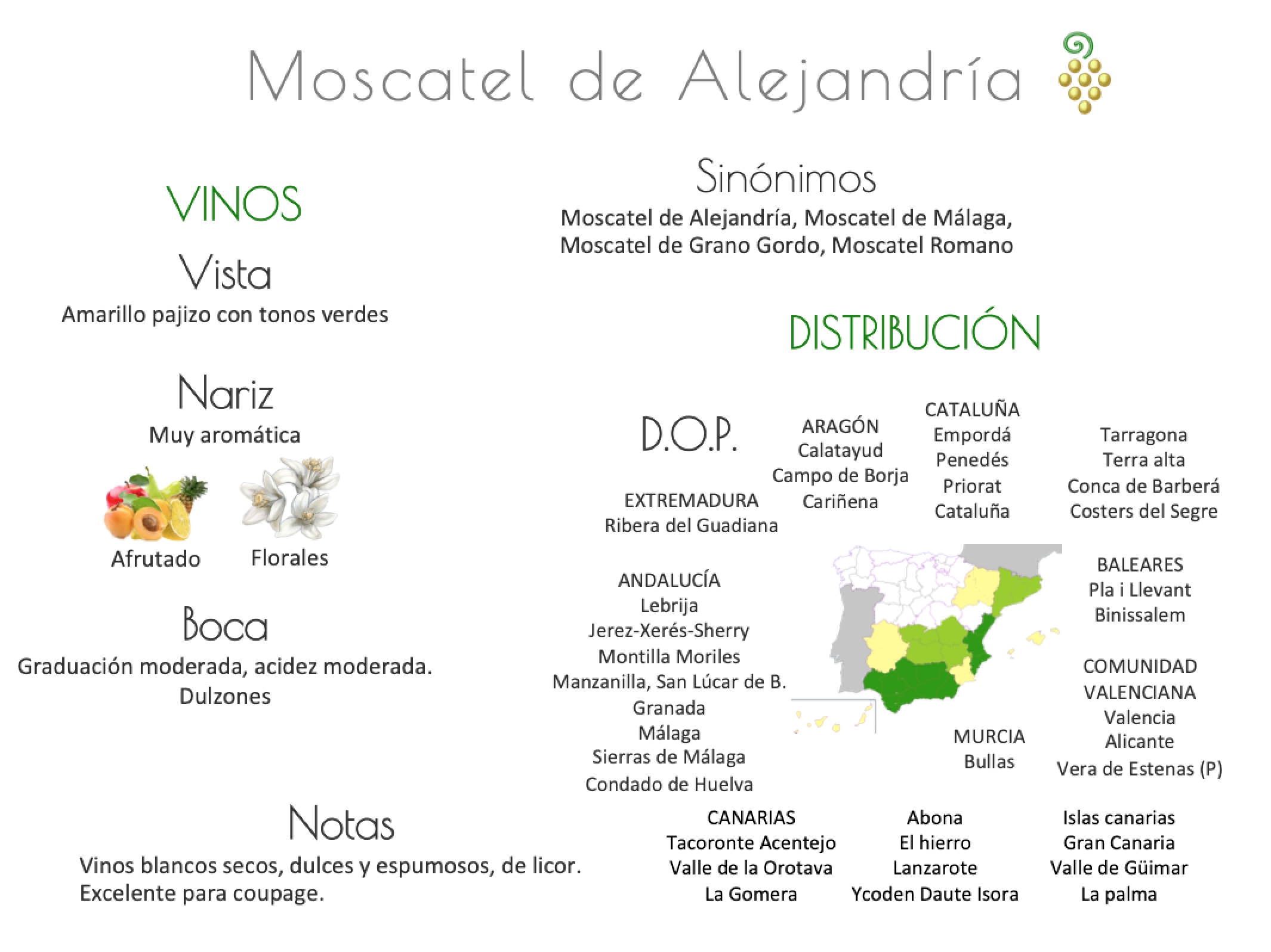 Sinónimo de Airén