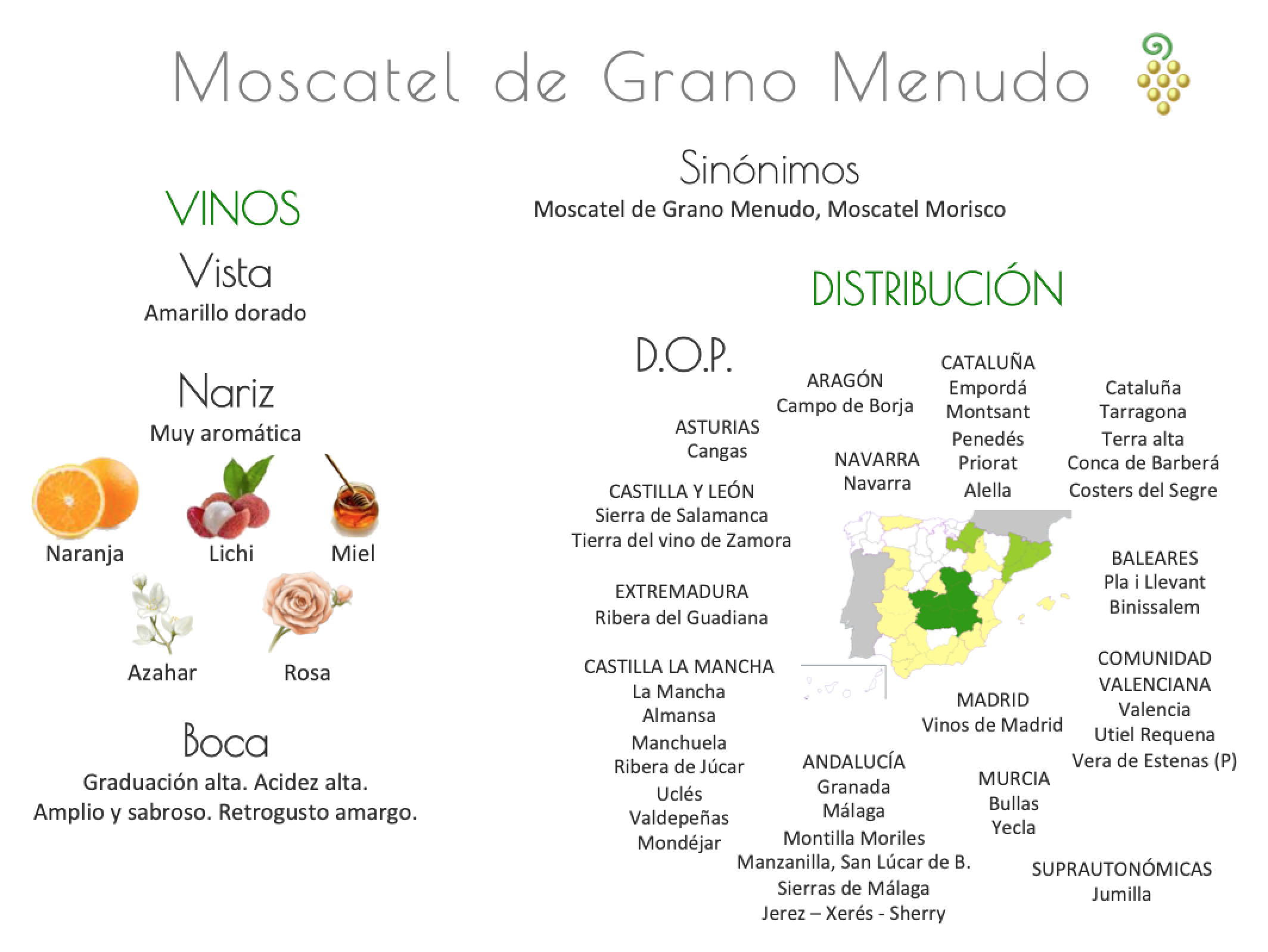 Sinónimo de Airén