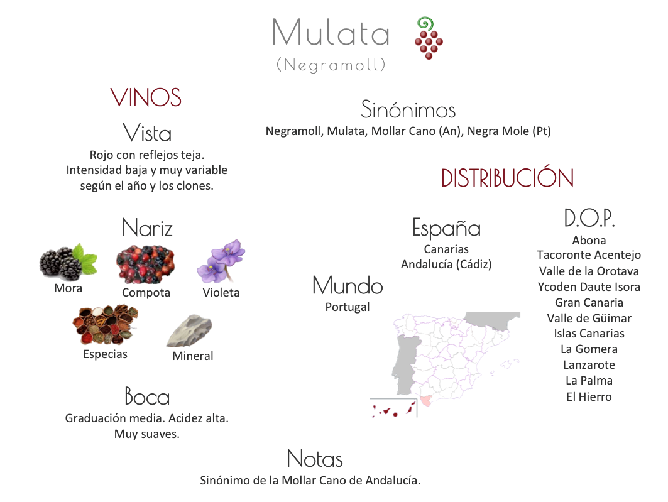 Sinónimo de Airén