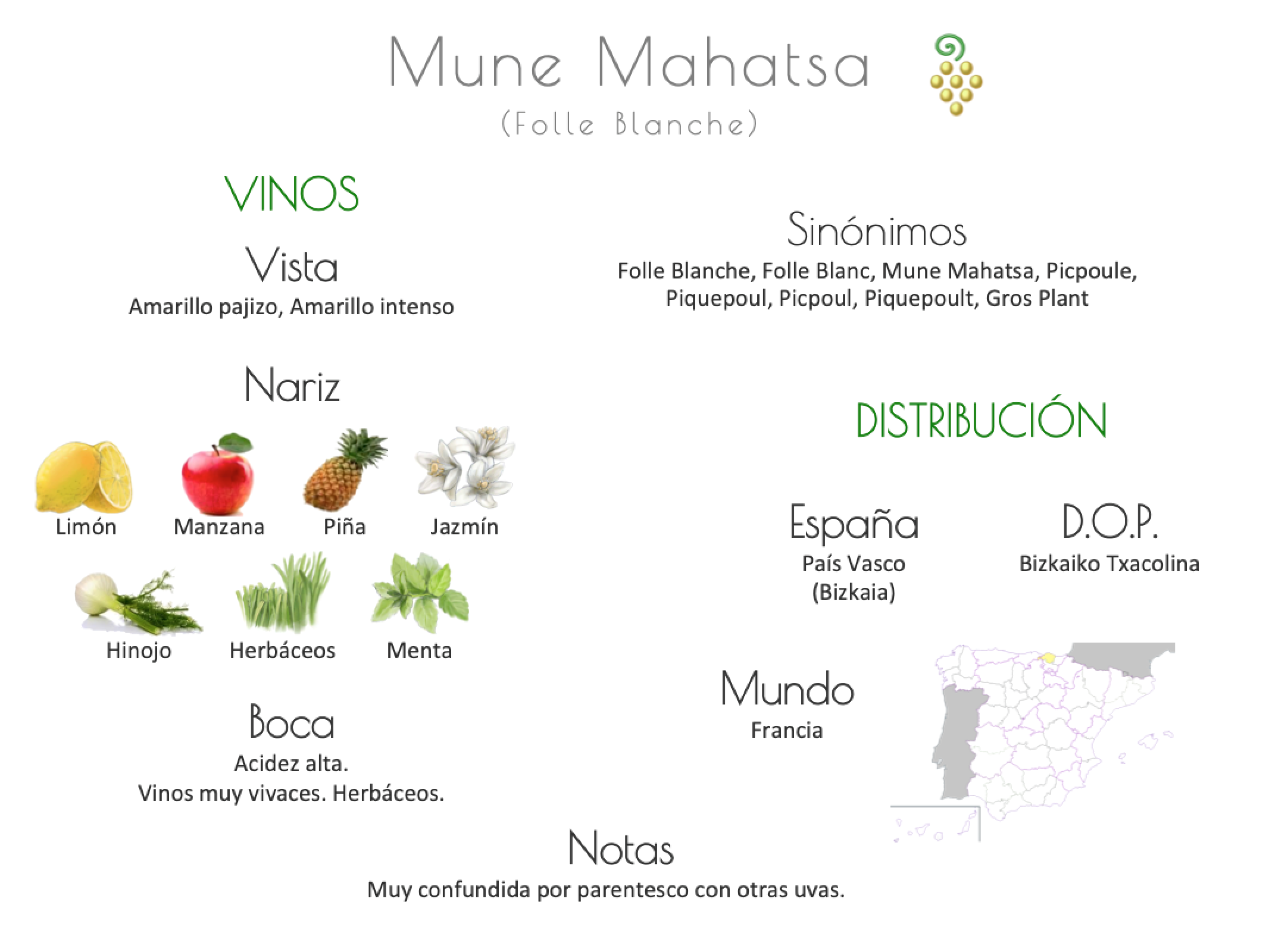 Sinónimo de Airén