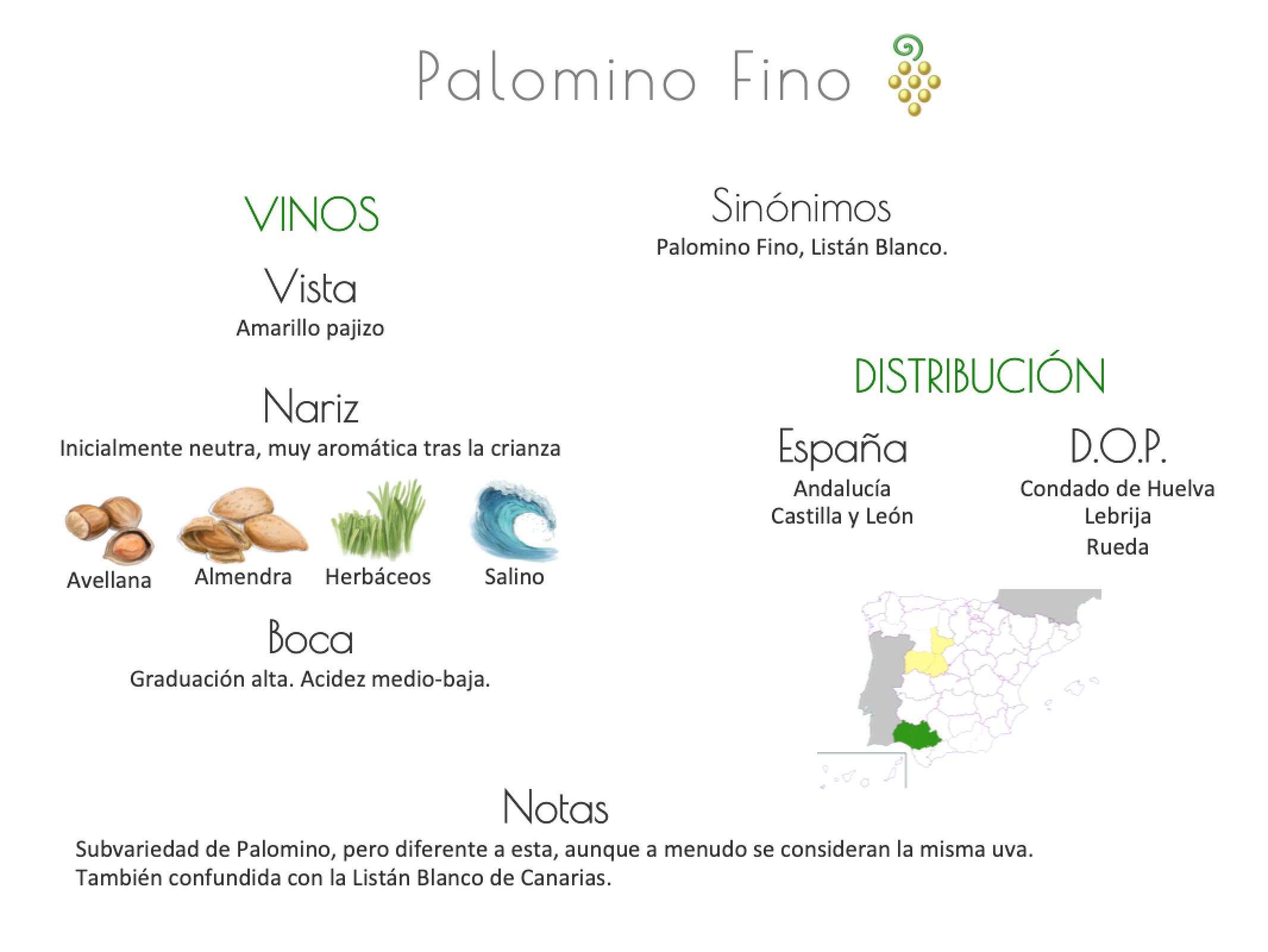 Sinónimo de Airén