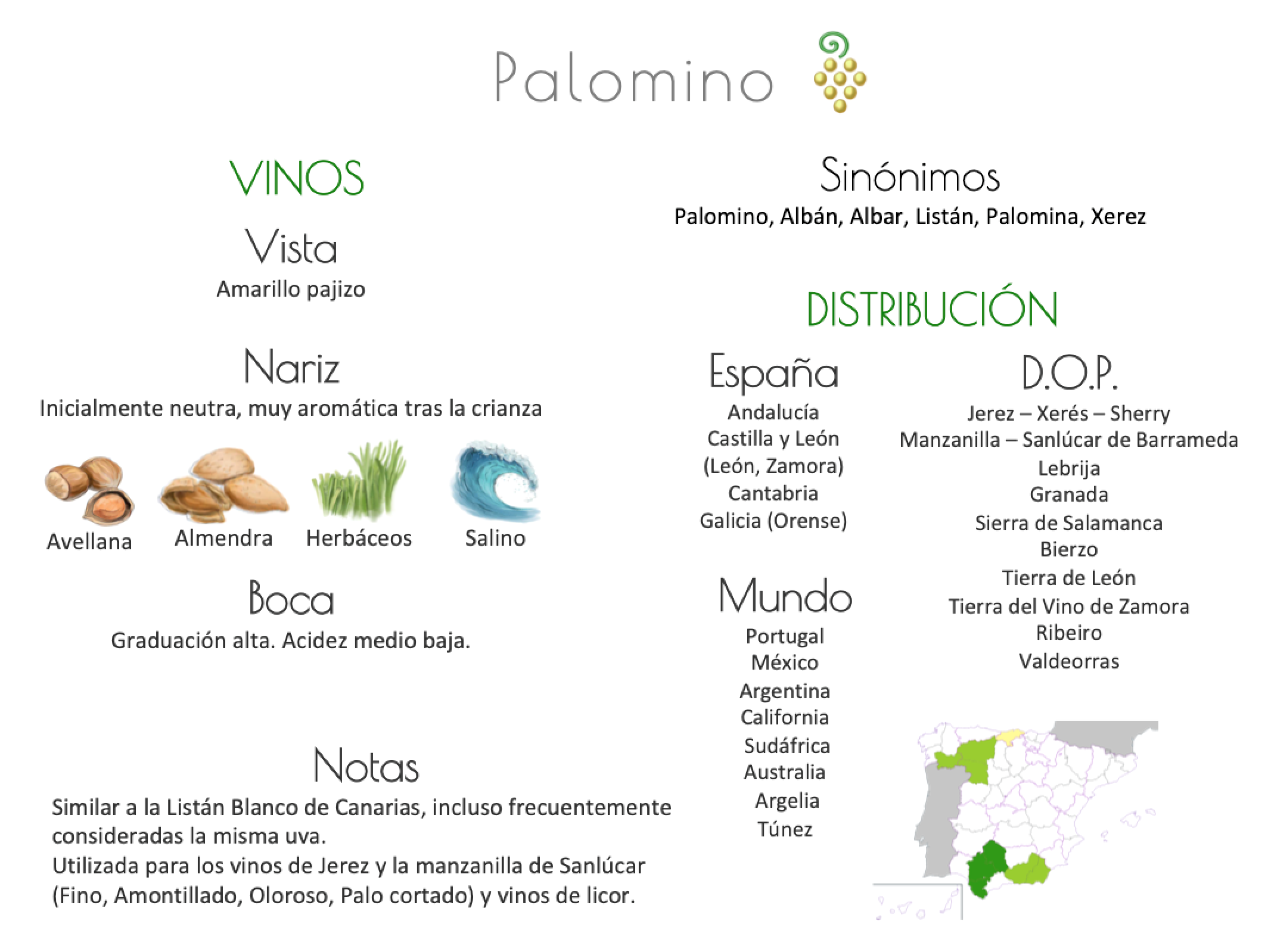 Sinónimo de Airén
