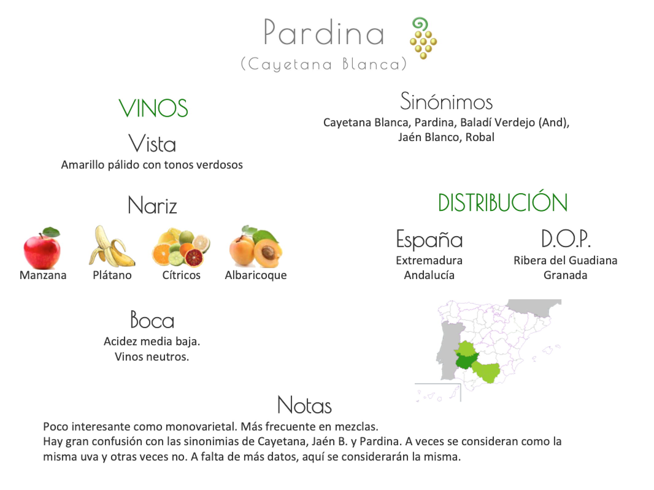 Sinónimo de Airén