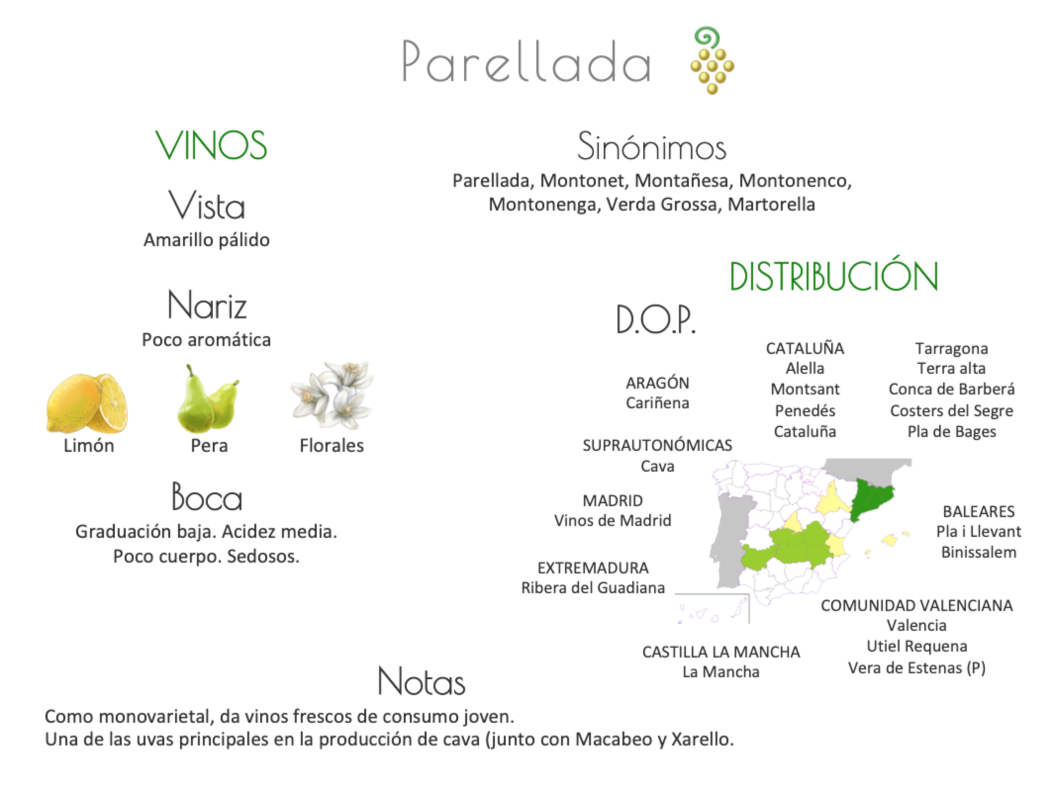 Sinónimo de Airén