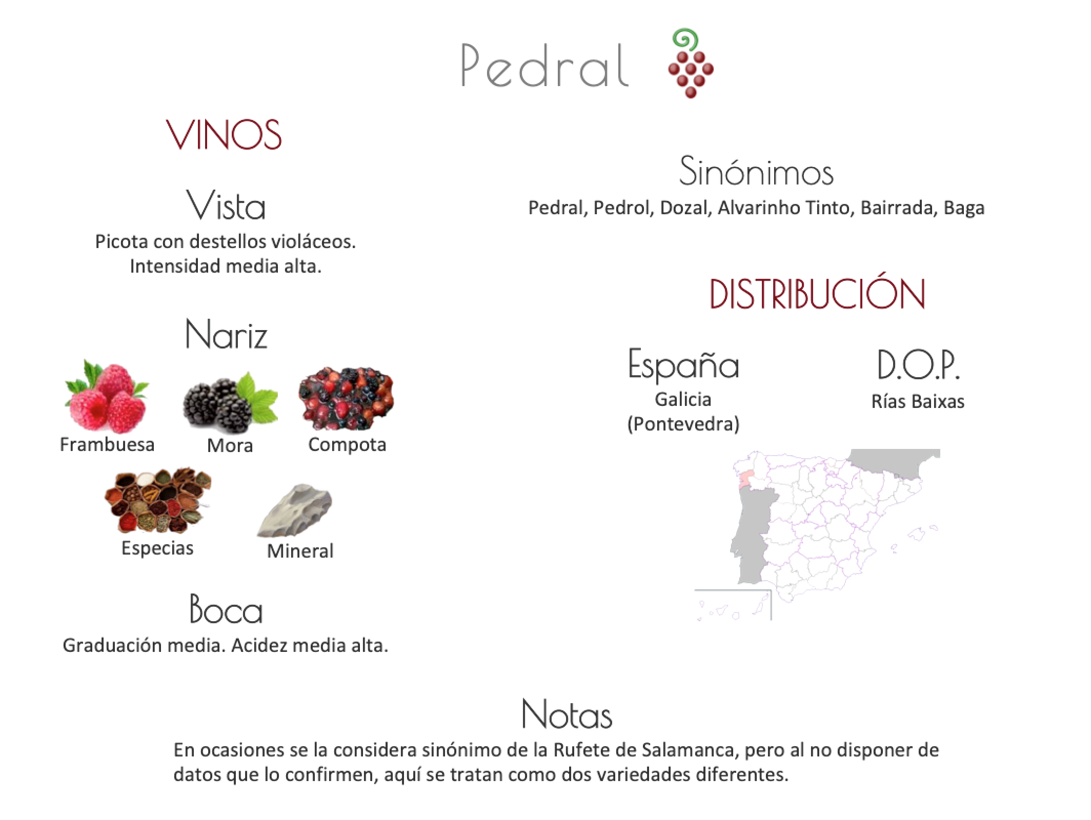 Sinónimo de Airén
