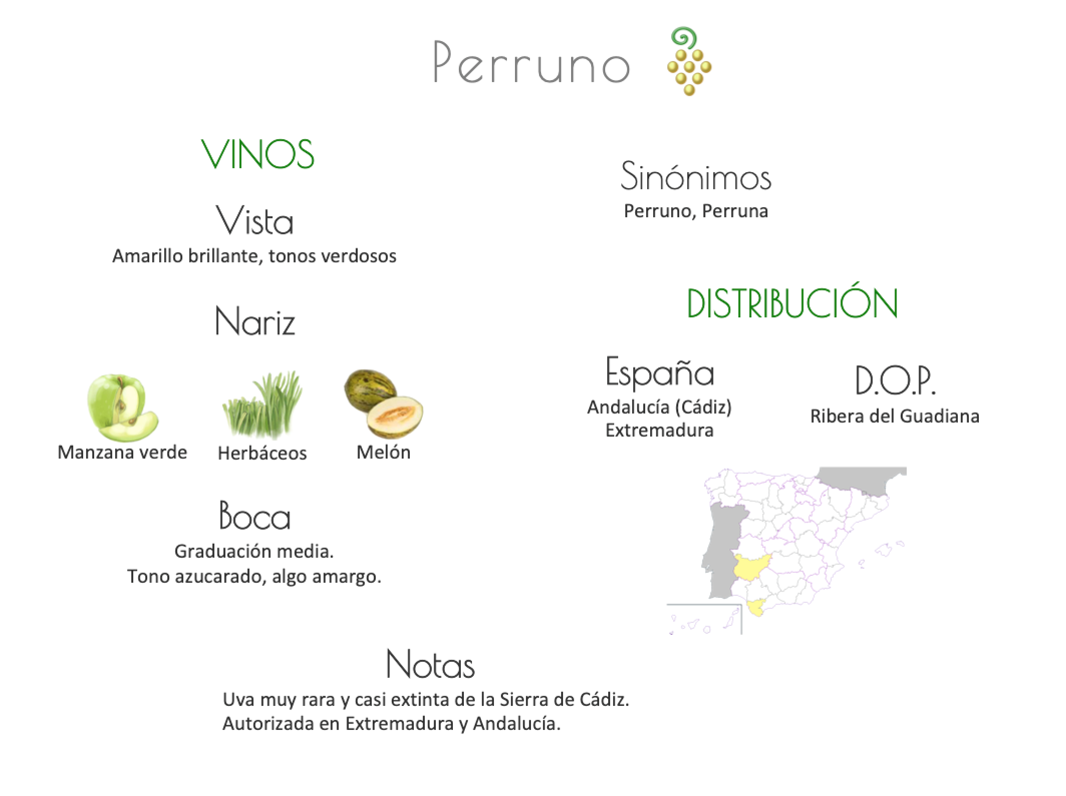 Sinónimo de Airén