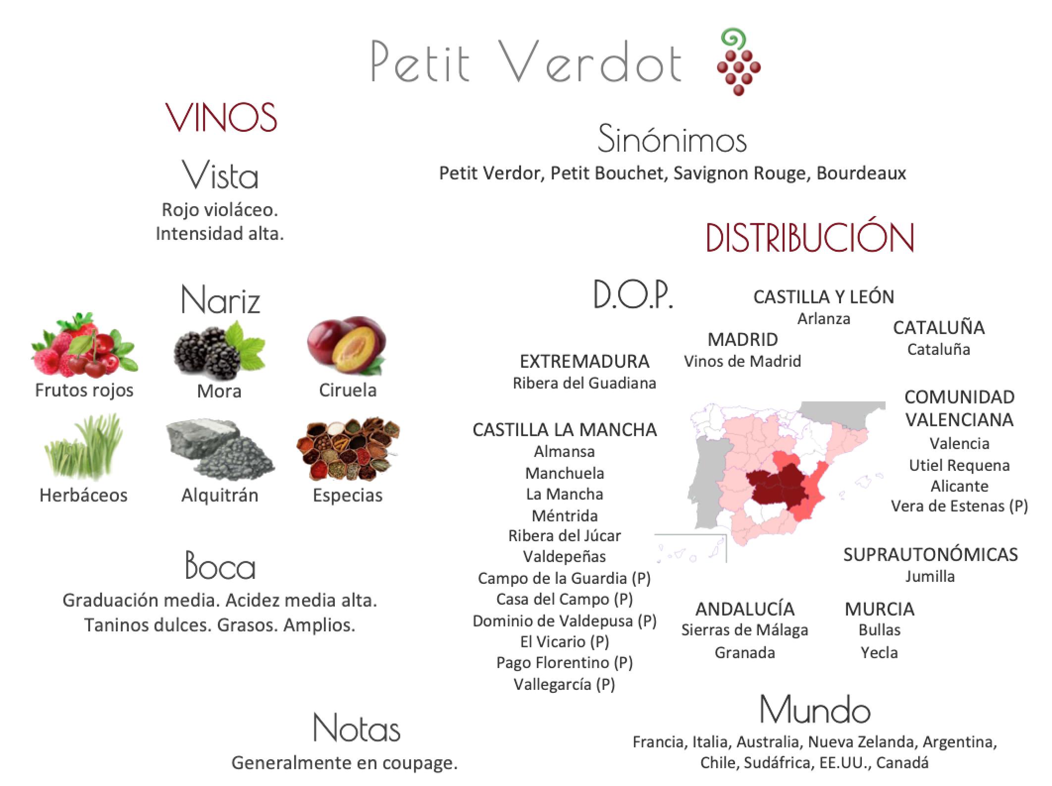 Sinónimo de Airén