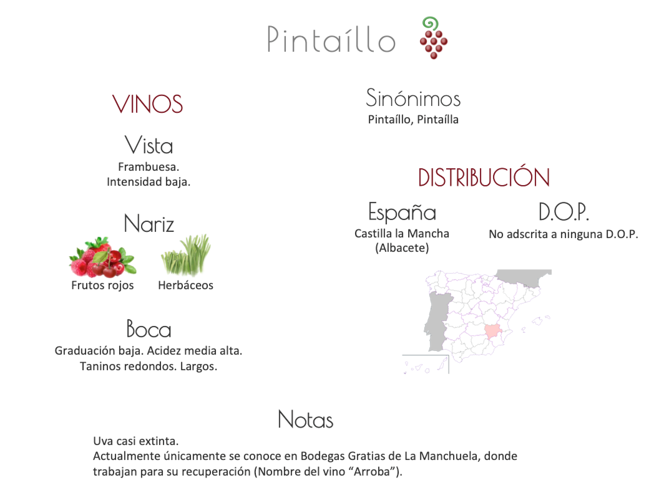 Sinónimo de Airén