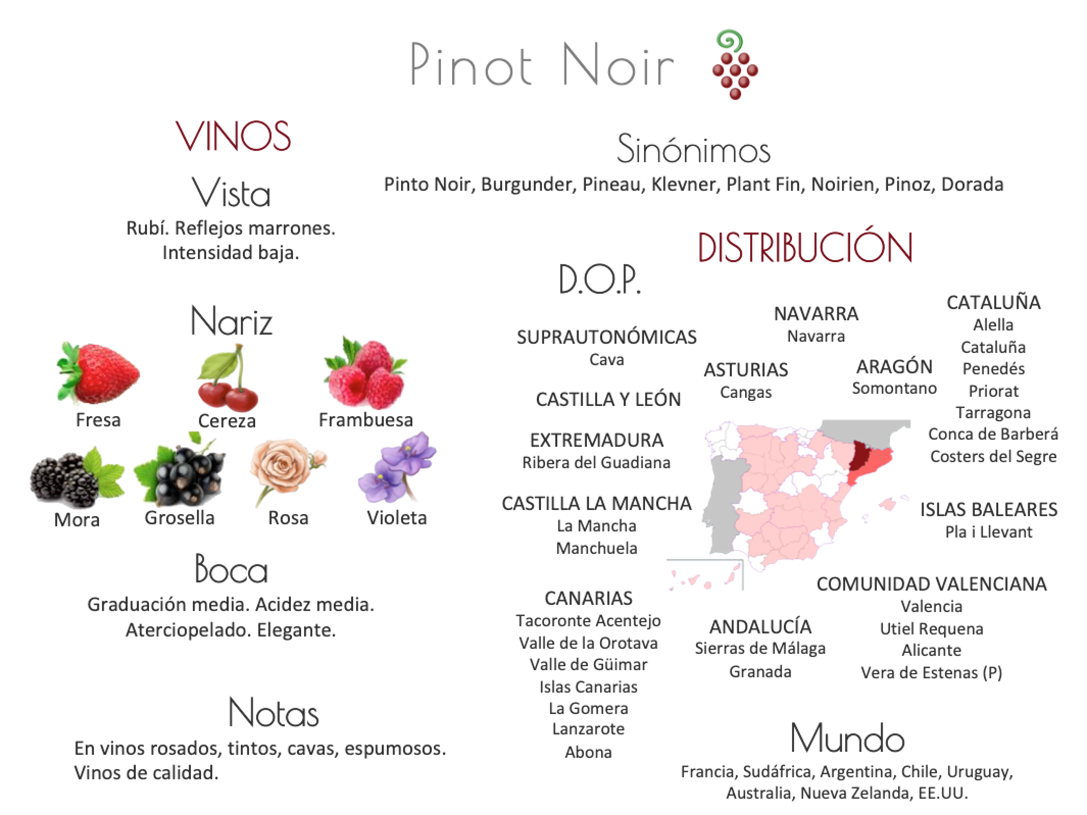 Sinónimo de Airén