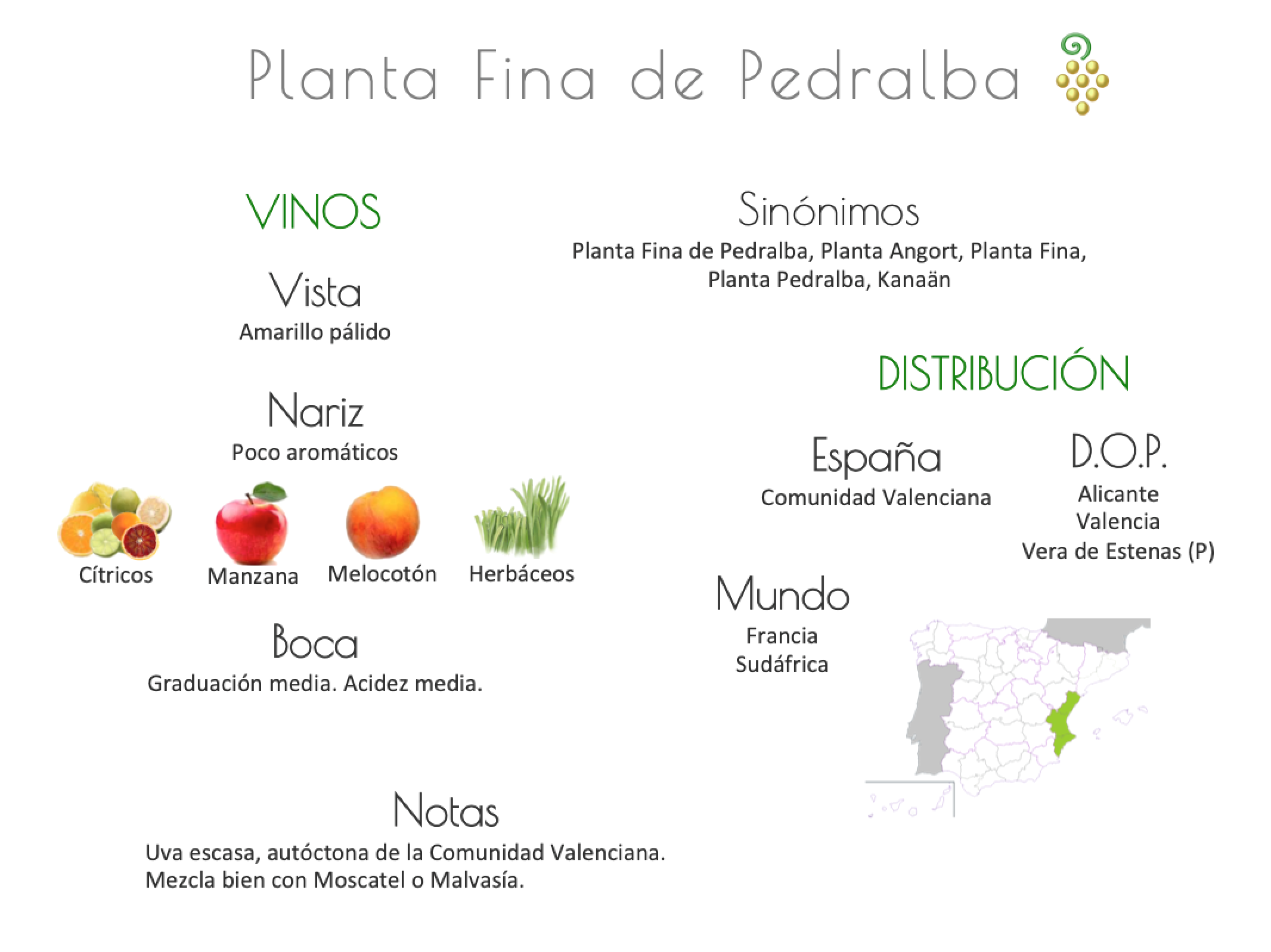 Sinónimo de Airén