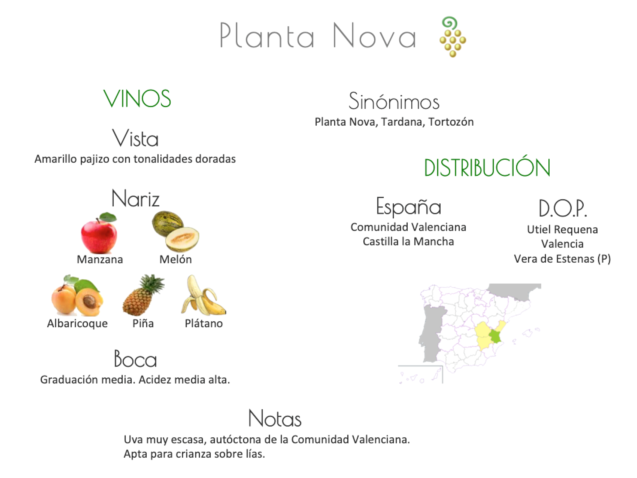 Sinónimo de Airén