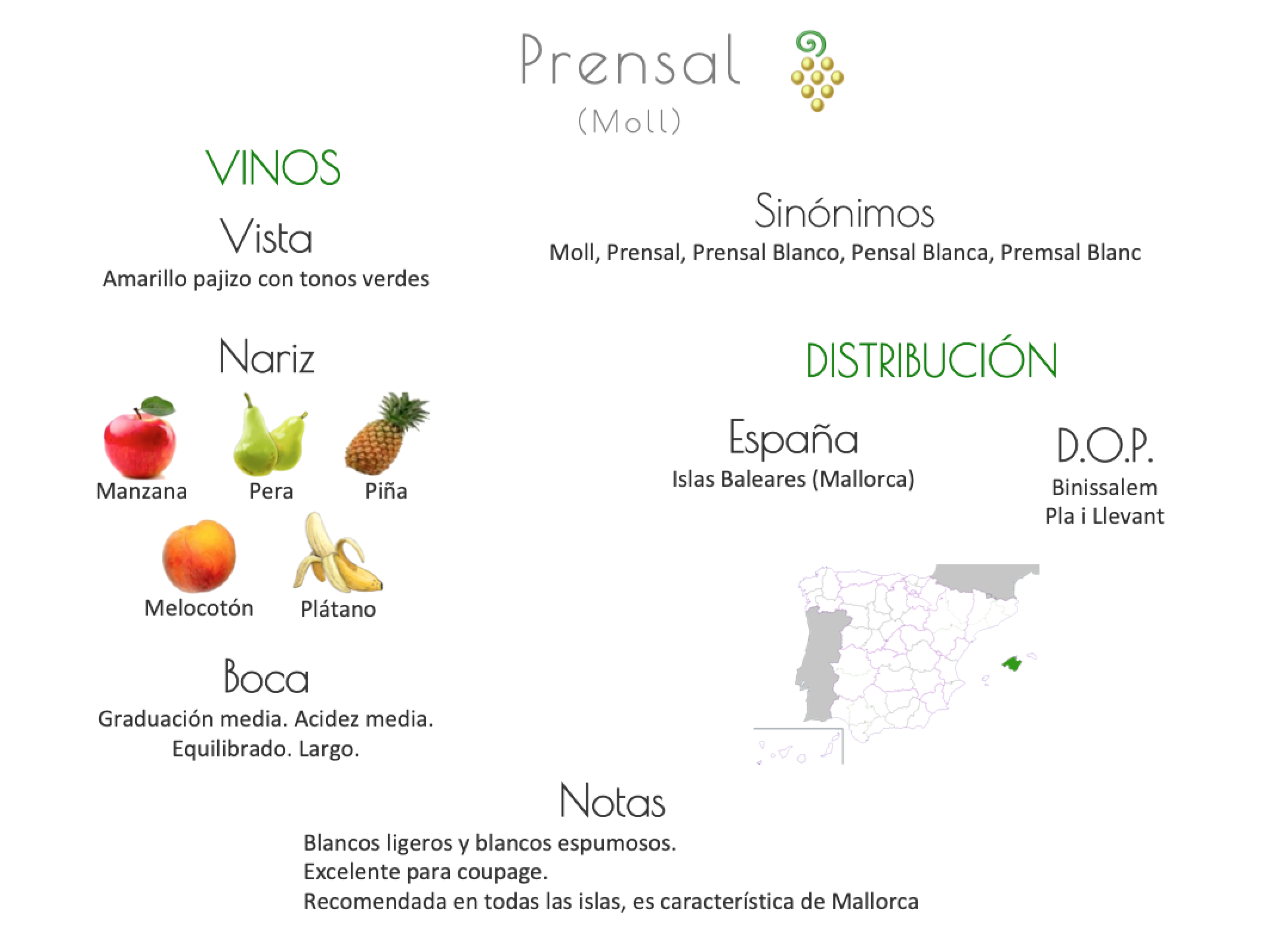 Sinónimo de Airén