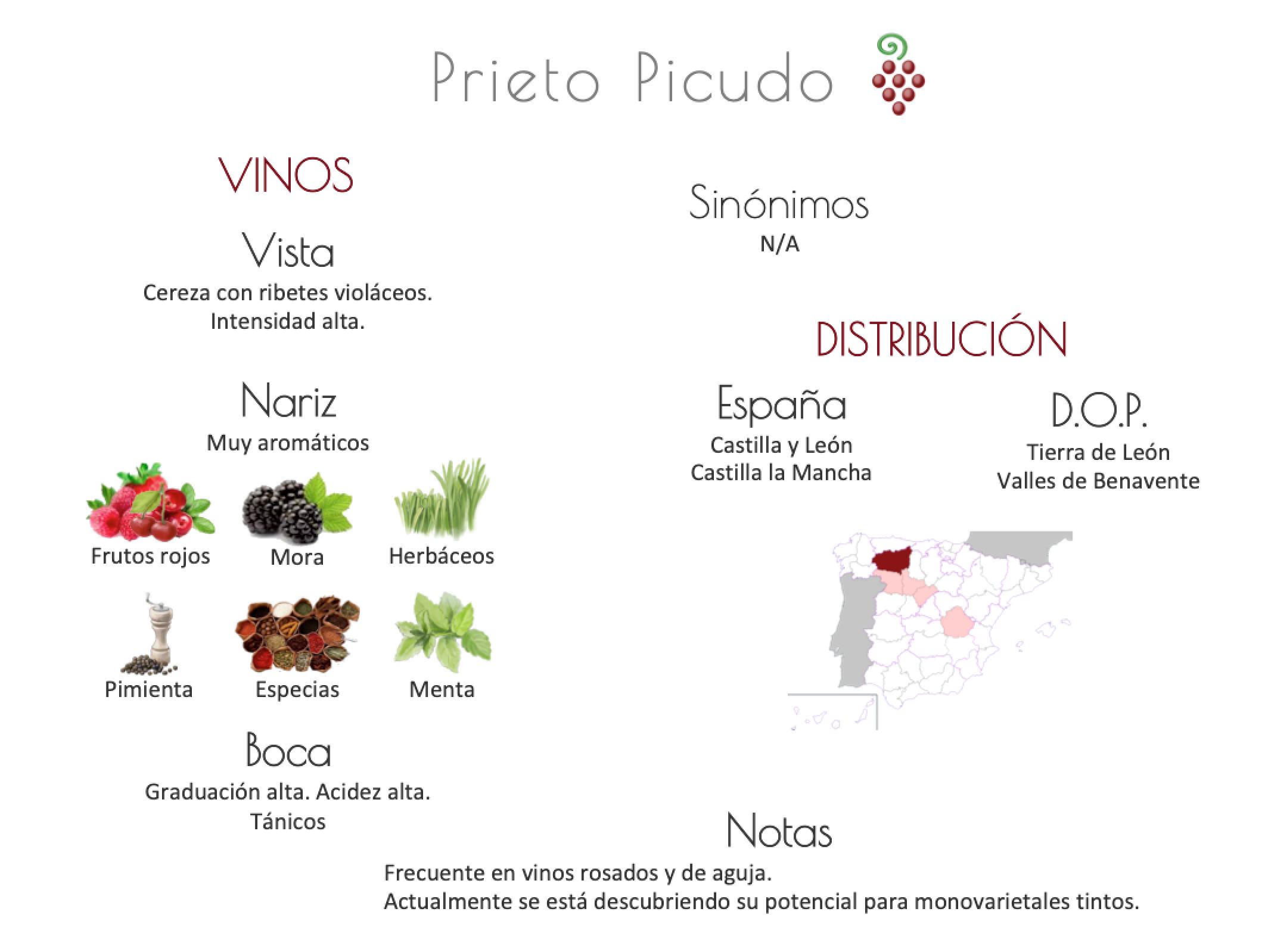 Sinónimo de Airén
